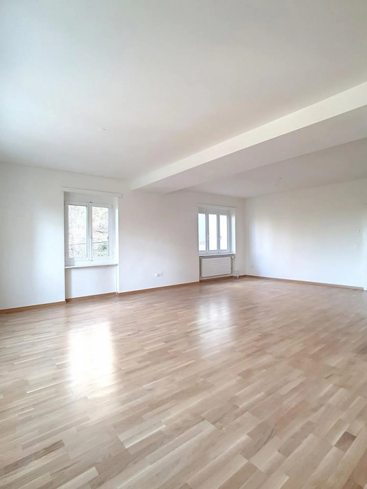 Atelier spazioso a Schlieren - Foto 5 di 8