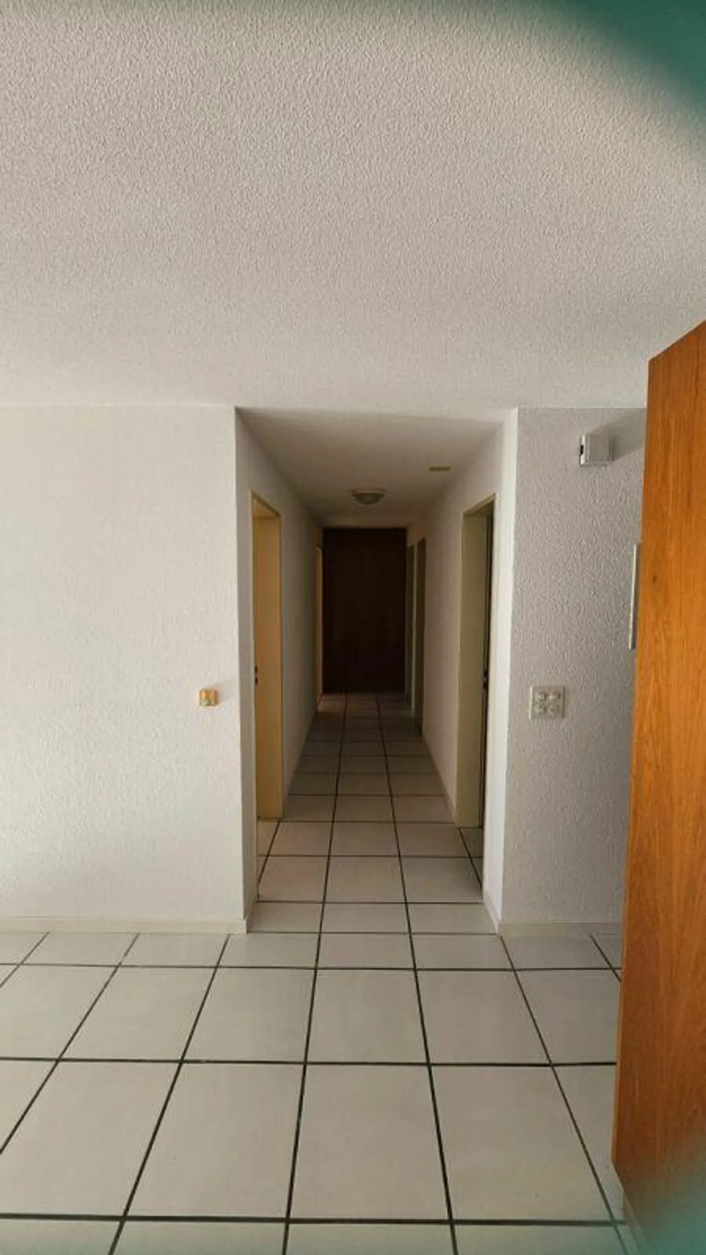 Large 4.5 Room Apartment - Photo 5 of 16