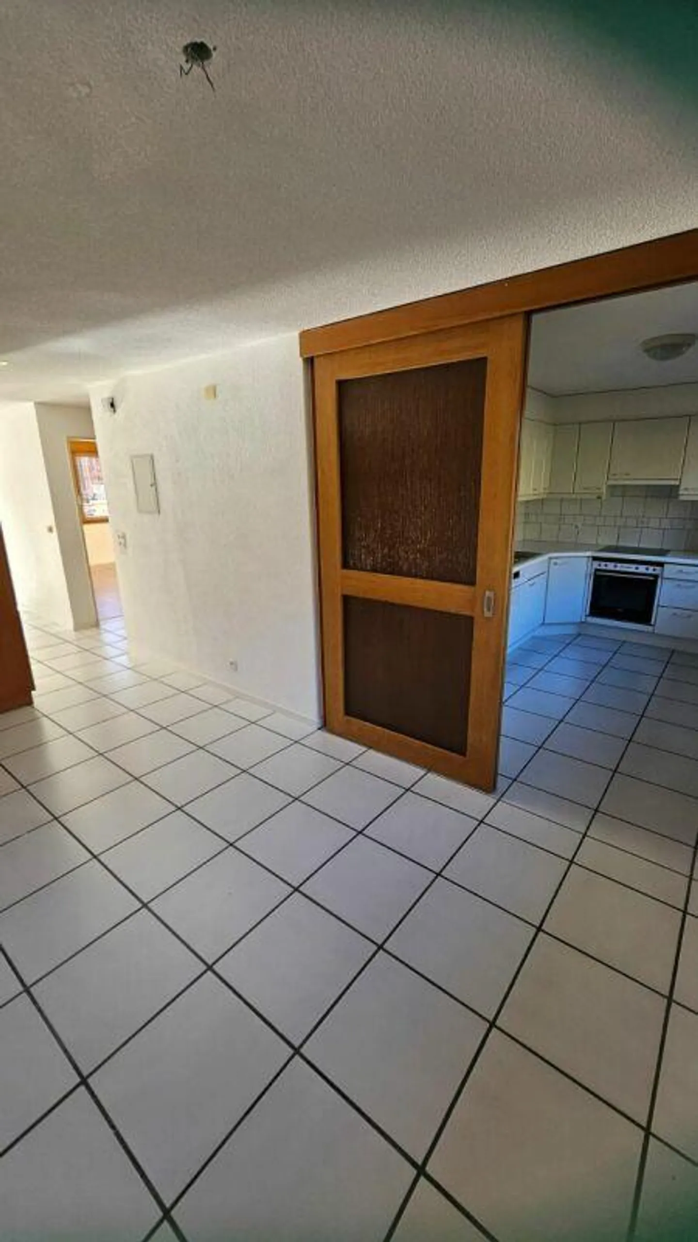 Large 4.5 Room Apartment - Photo 7 of 16