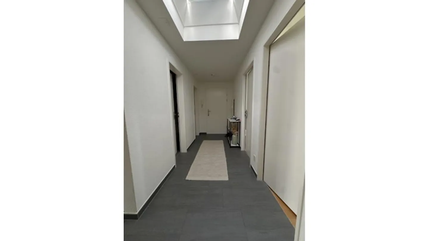 4½ ROOM APARTMENT IN AESCH (BL), FURNISHED, TEMPORARY - Photo 3 of 10