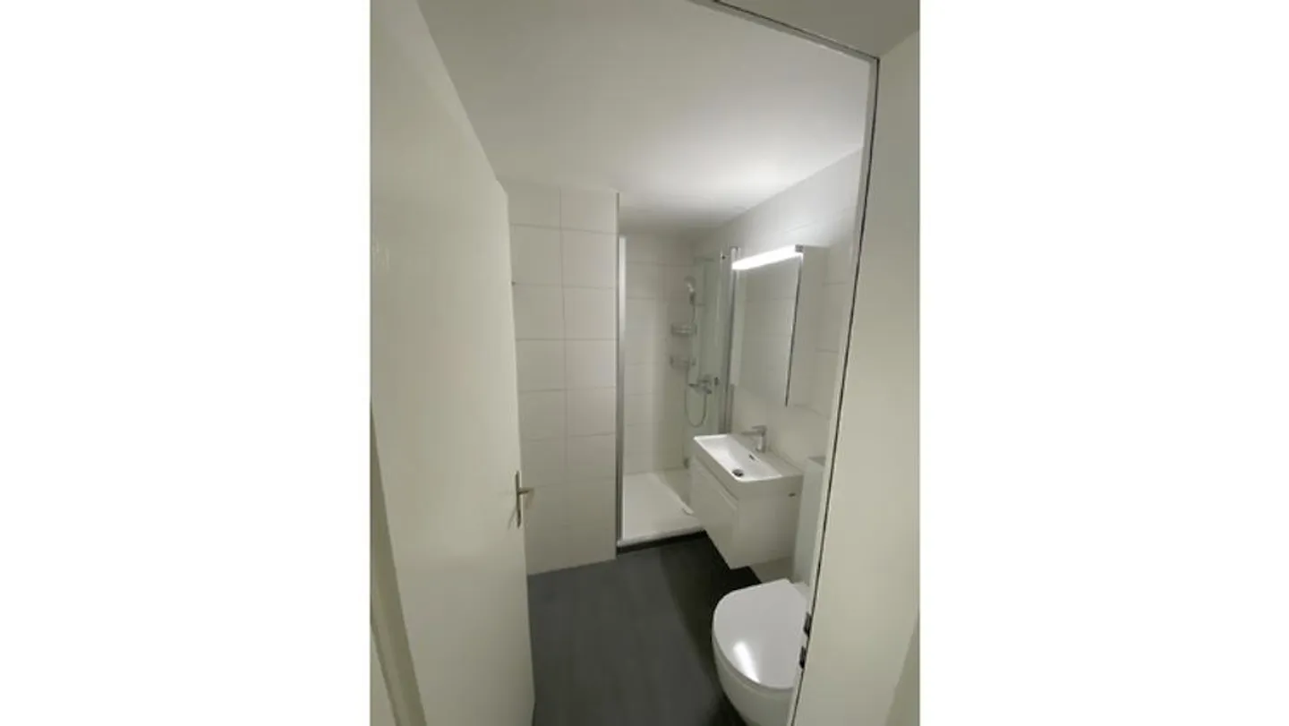 4½ ROOM APARTMENT IN AESCH (BL), FURNISHED, TEMPORARY - Photo 8 of 10