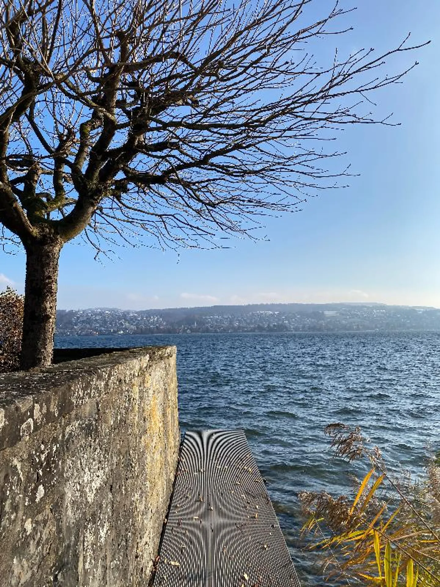 1.5 Room Apartment with Lake Access - Photo 5 of 5