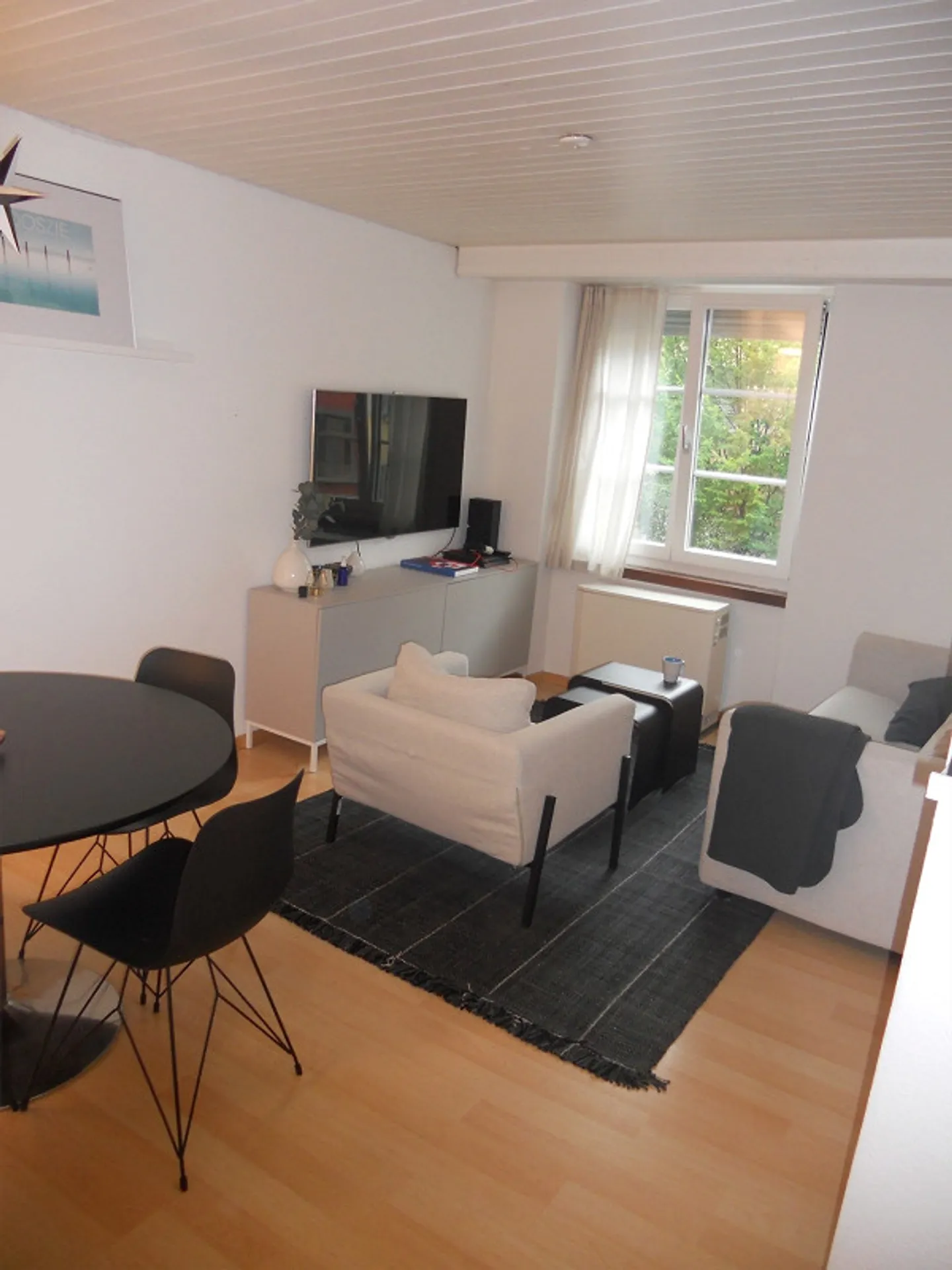 Beautiful 2-room apartment in Neustadt, Schaffhausen - Photo 1 of 4