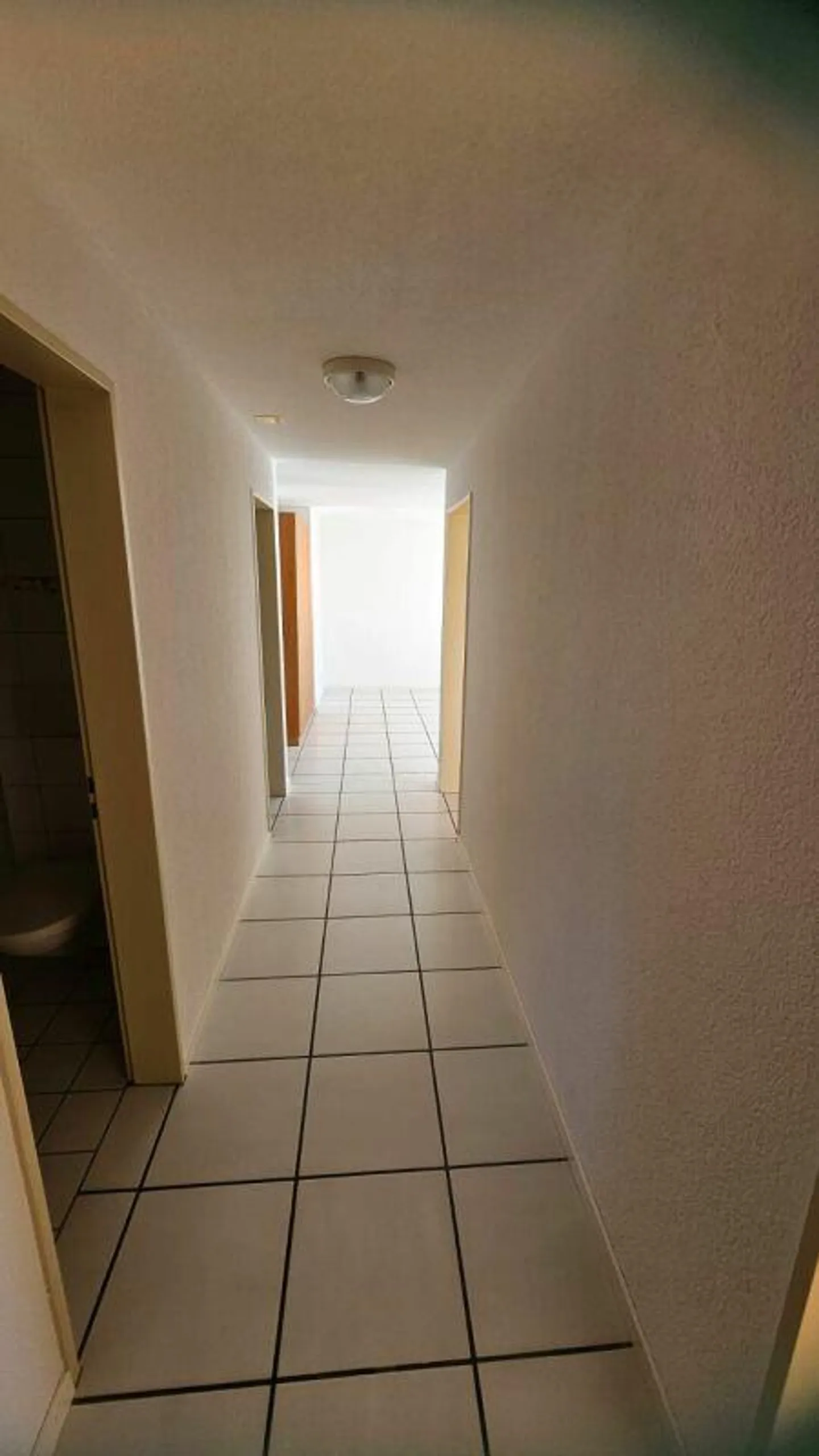 Large 4.5 Room Apartment - Photo 10 of 16