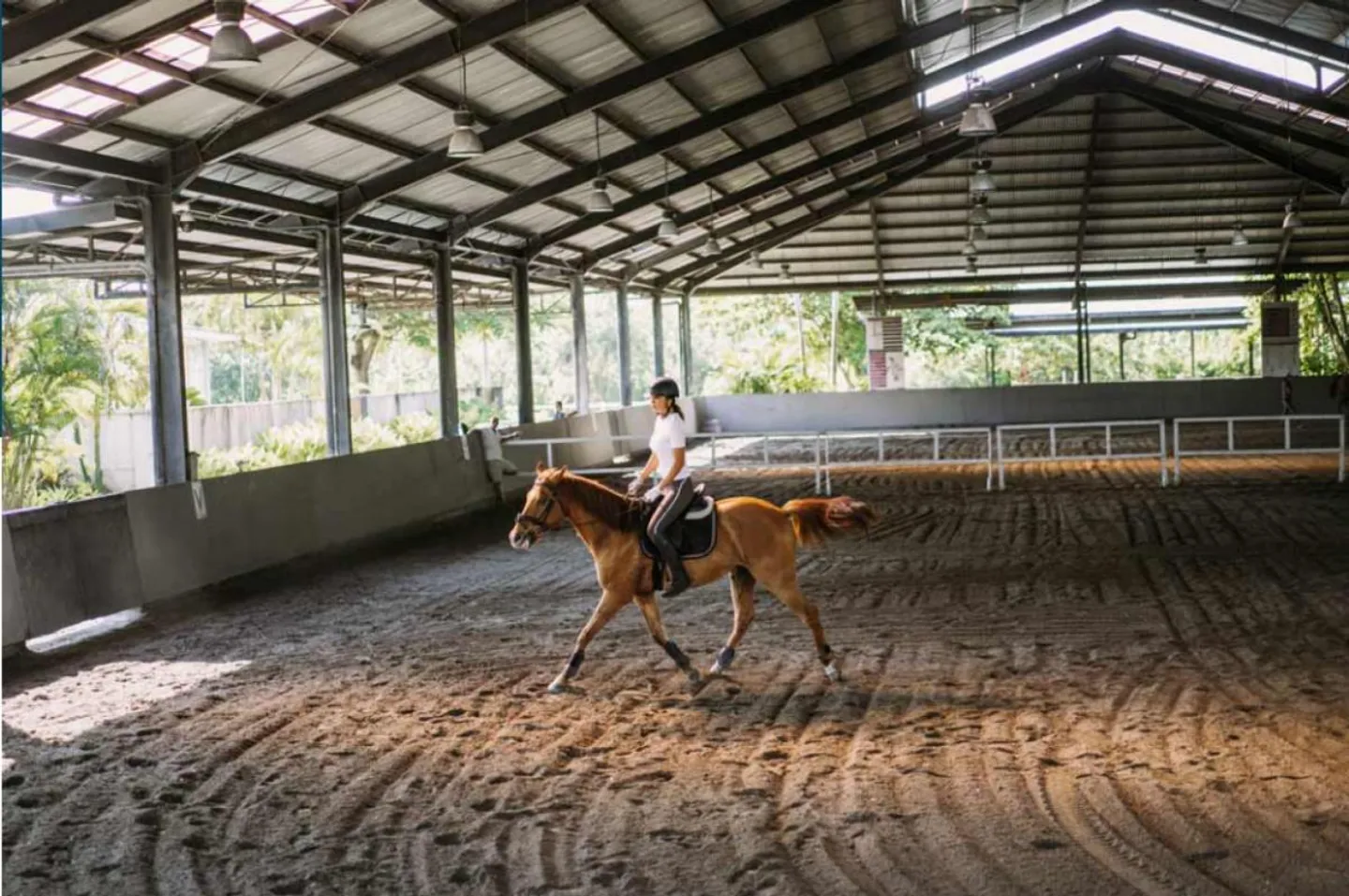 Land für Reitanlage - Foto 1 von 1
