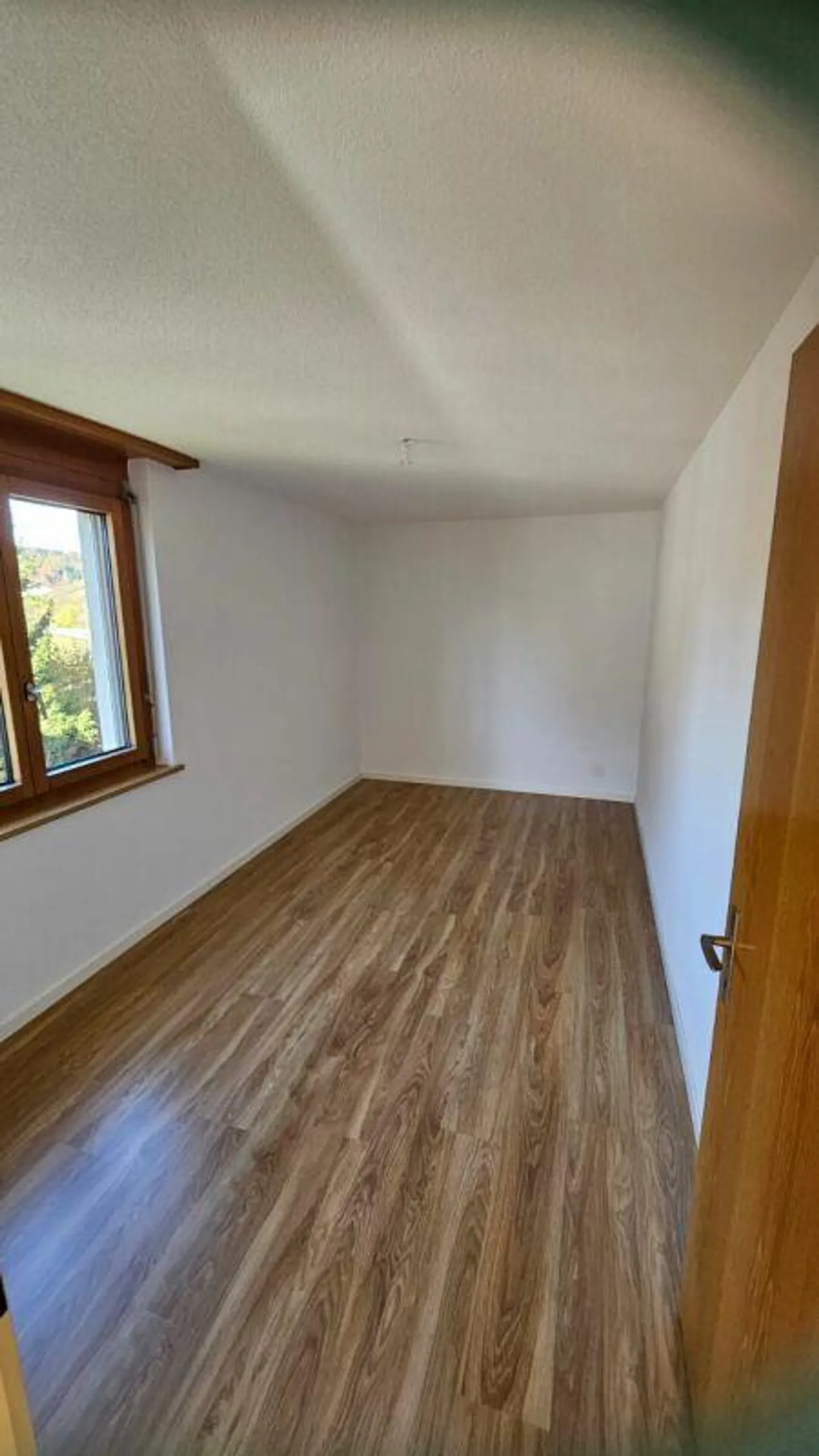 Large 4.5 Room Apartment - Photo 12 of 16