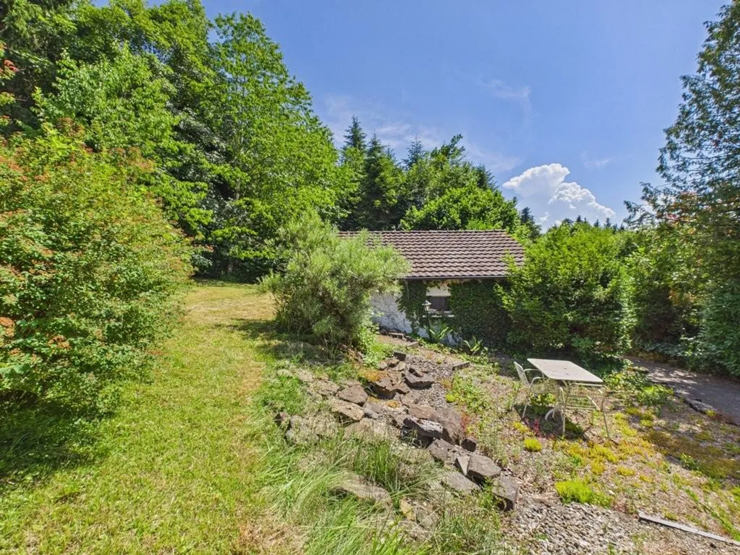 Old building in idyllic location on the edge of the forest with generous surroundings - Photo 4 of 6