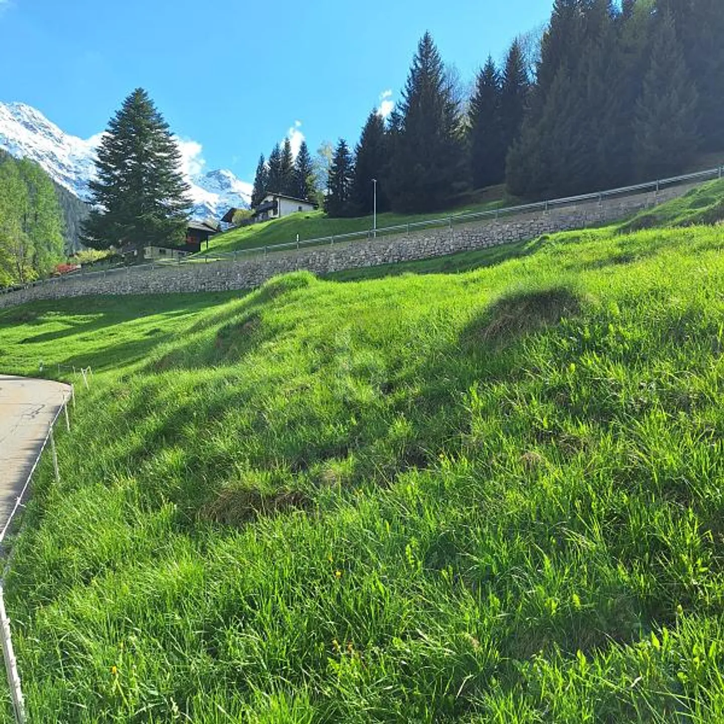 Terreno da sogno con vista mozzafiato - Foto 5 di 6