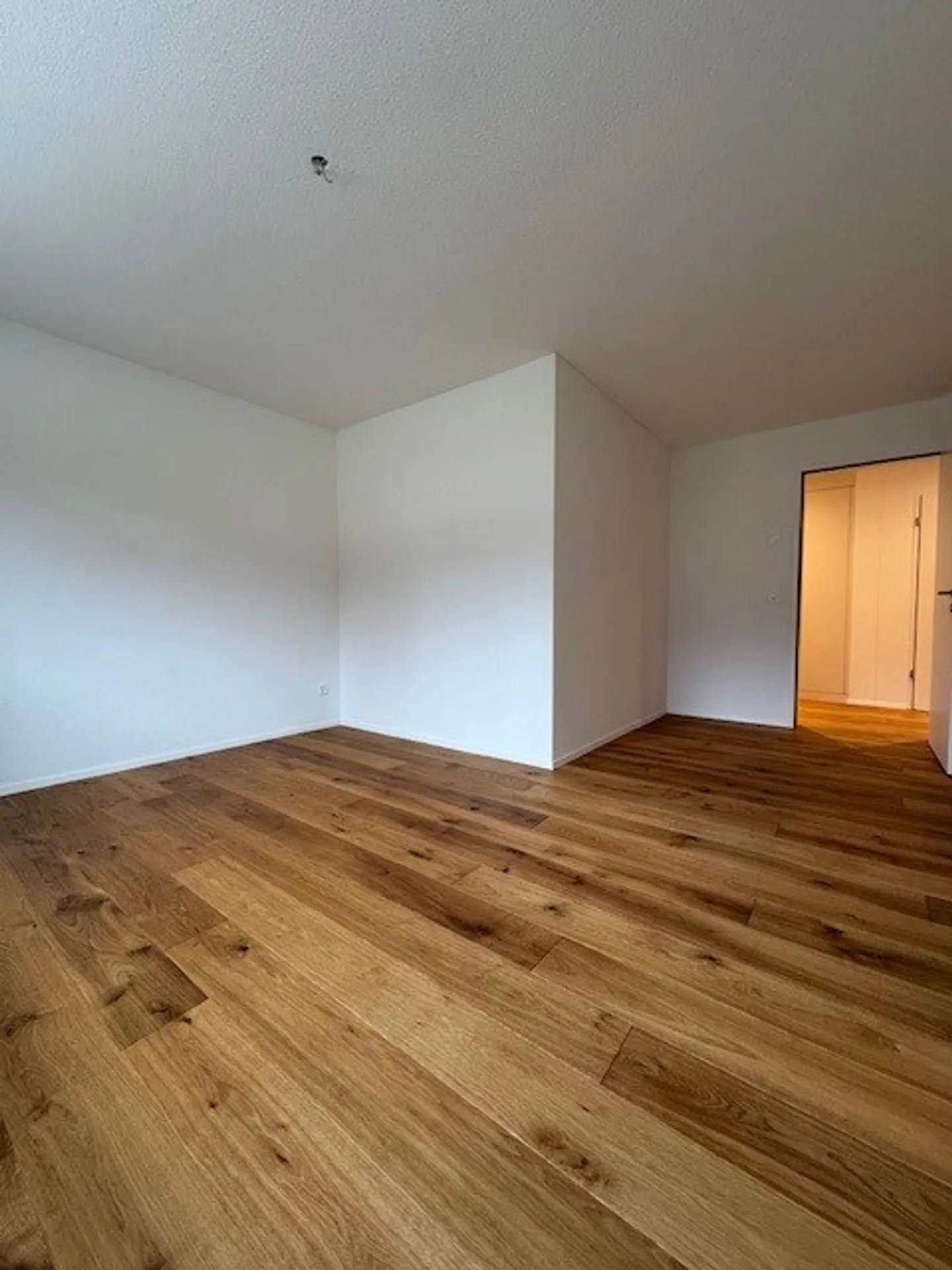 Spring Promotion - Garden Apartment - Photo 11 of 15