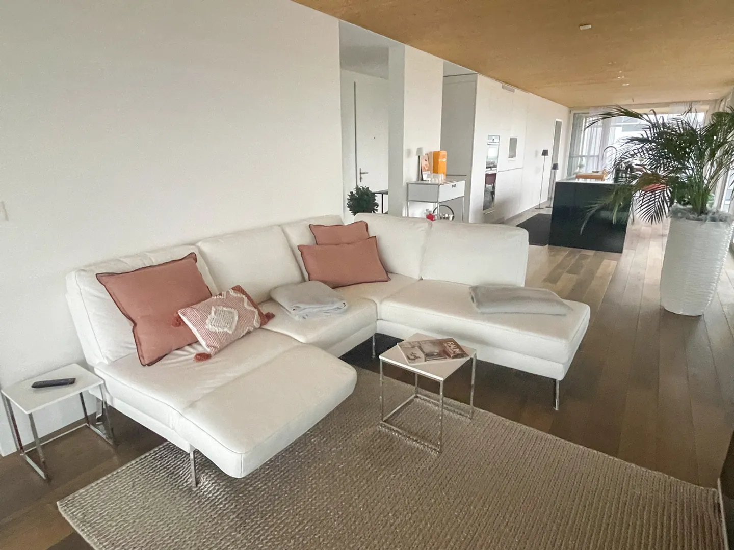 Appartement en Attique 3½ pièces avec très grande terrasse - Photo 3 sur 9