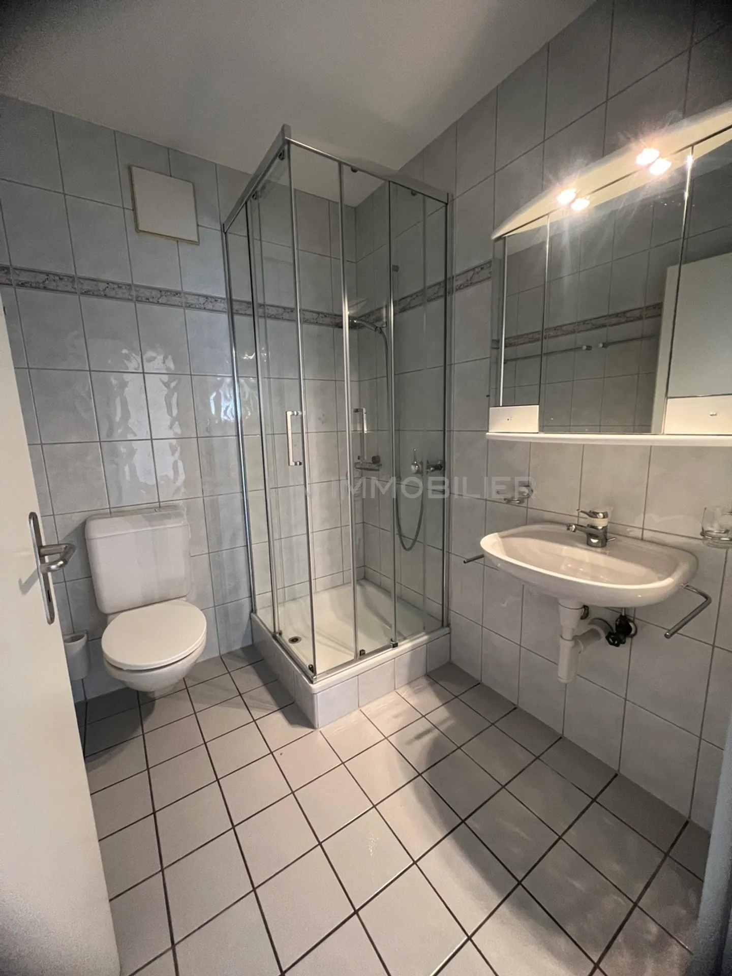 BEAUTIFUL 4-ROOM APARTMENT, IN SINGINE - Photo 6 of 9