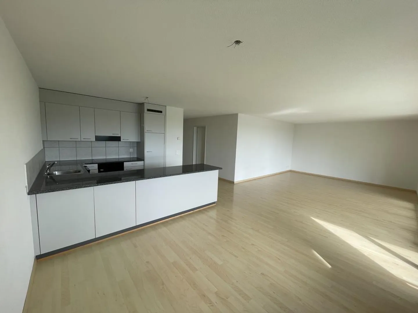 Spacious 4.5-room apartment in the heart of Seeland - Photo 1 of 9