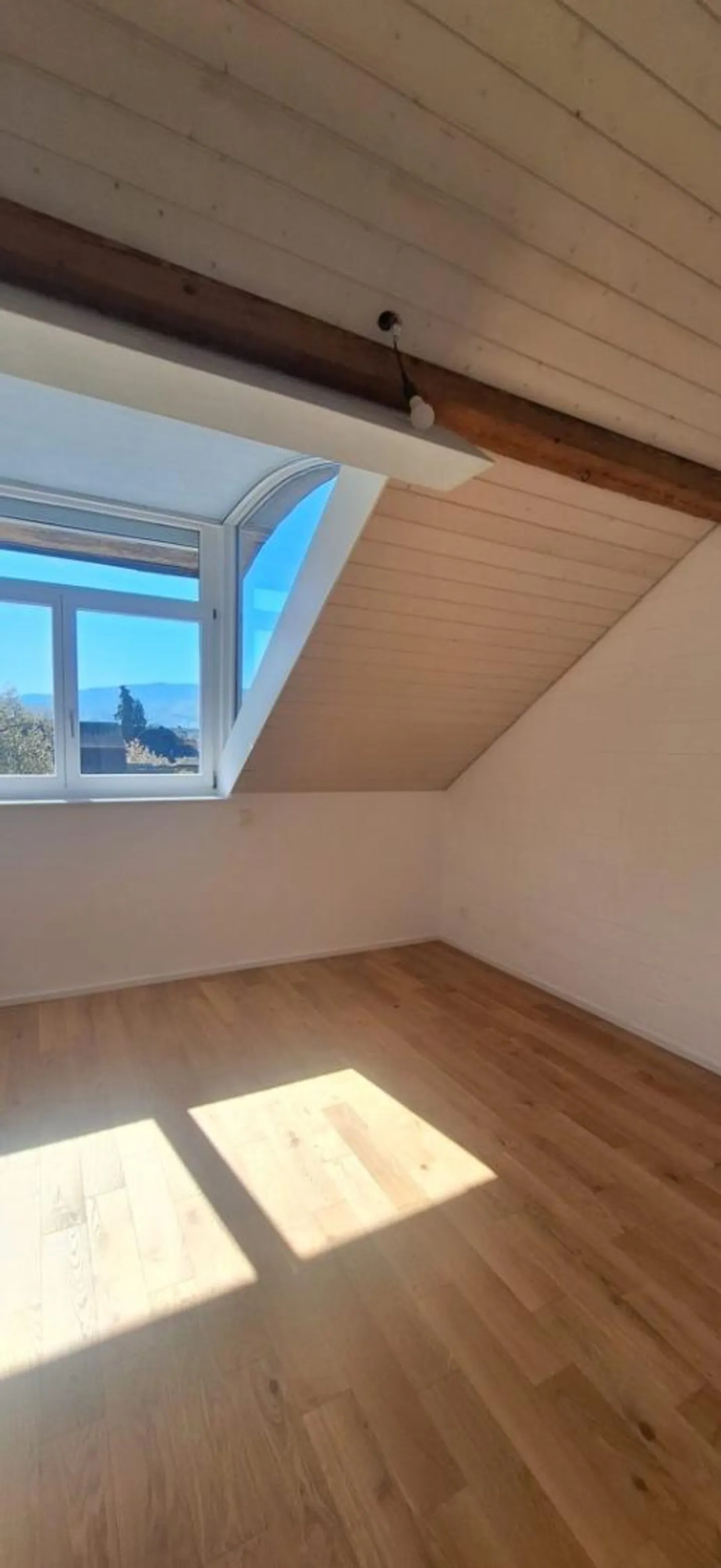 Appartamento 4.5 stanze - Foto 17 di 18