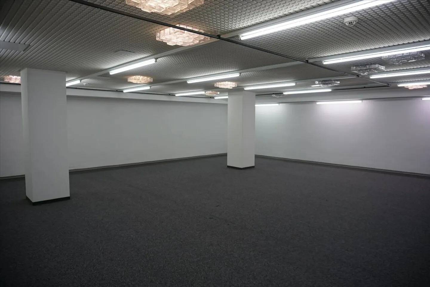 Magazzino in affitto - Foto 2 di 5