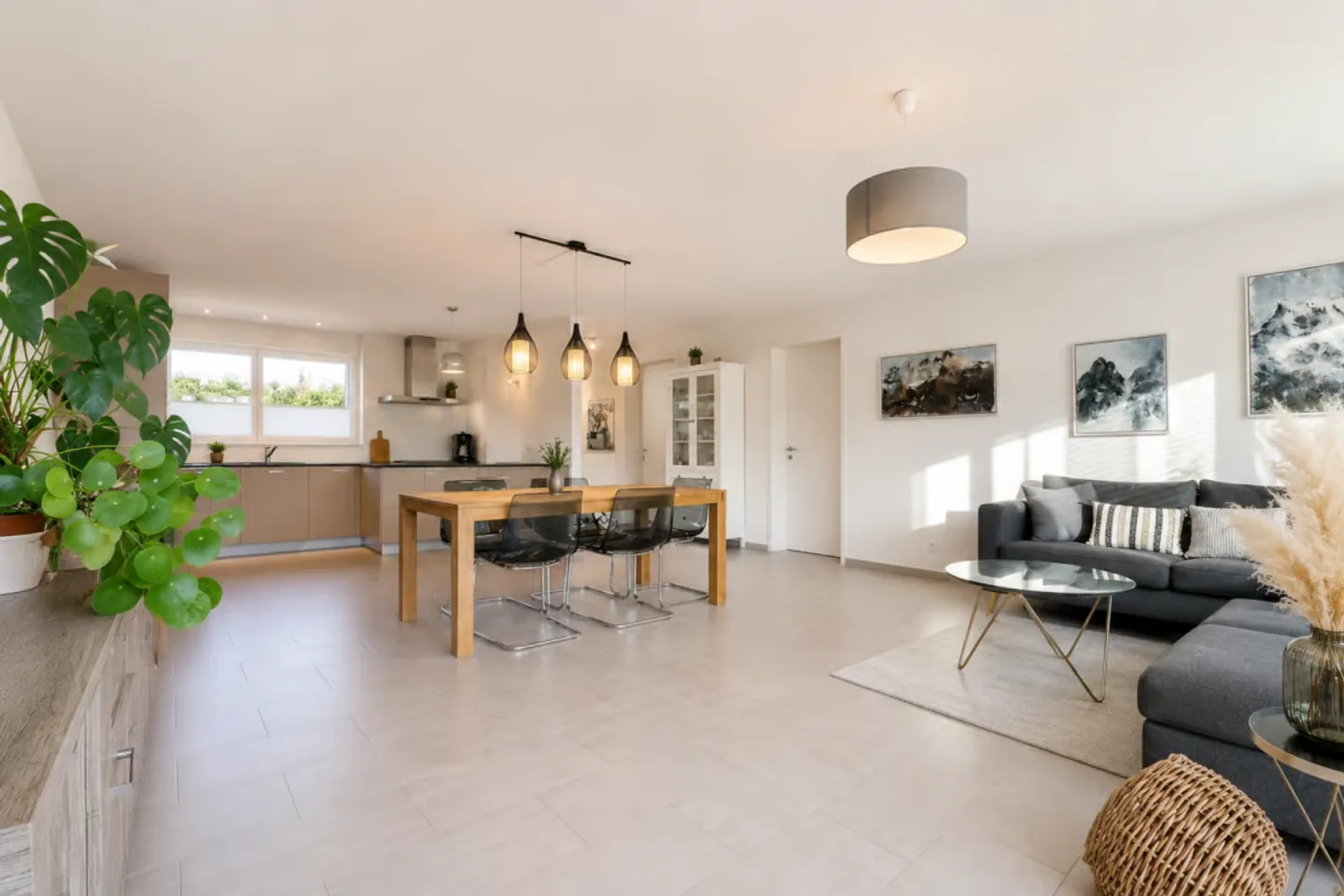 Very large 5.5-room apartment with garden - Photo 2 of 12
