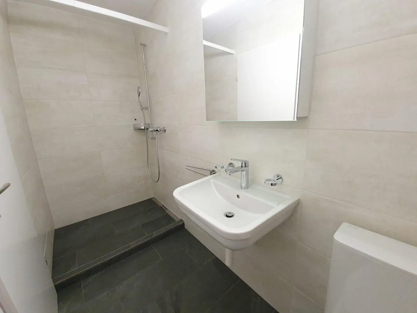 Modern and spacious apartment in the heart of Neuhausen - Photo 7 of 10