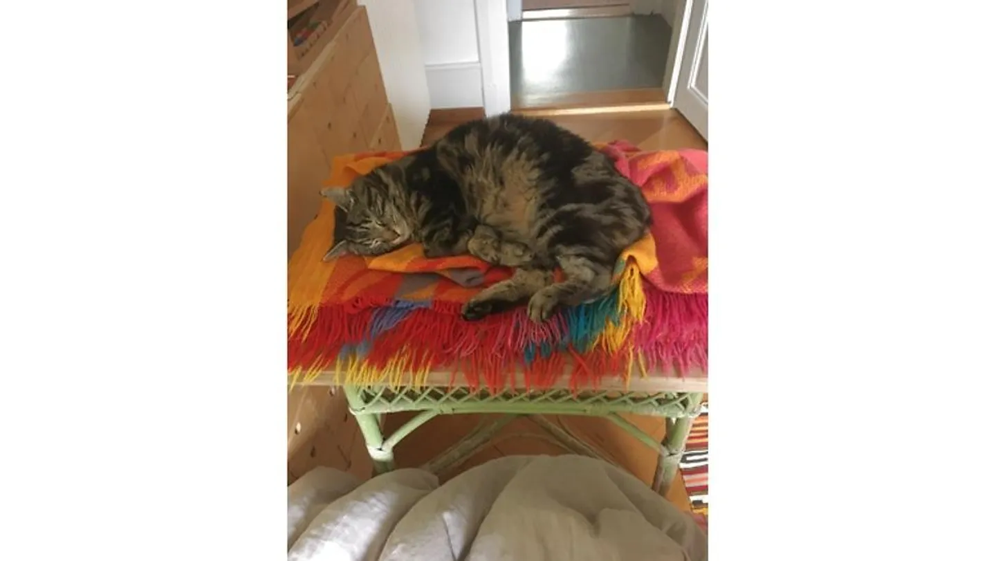 Charmante Wohnung mit Garten - Foto 8 von 9