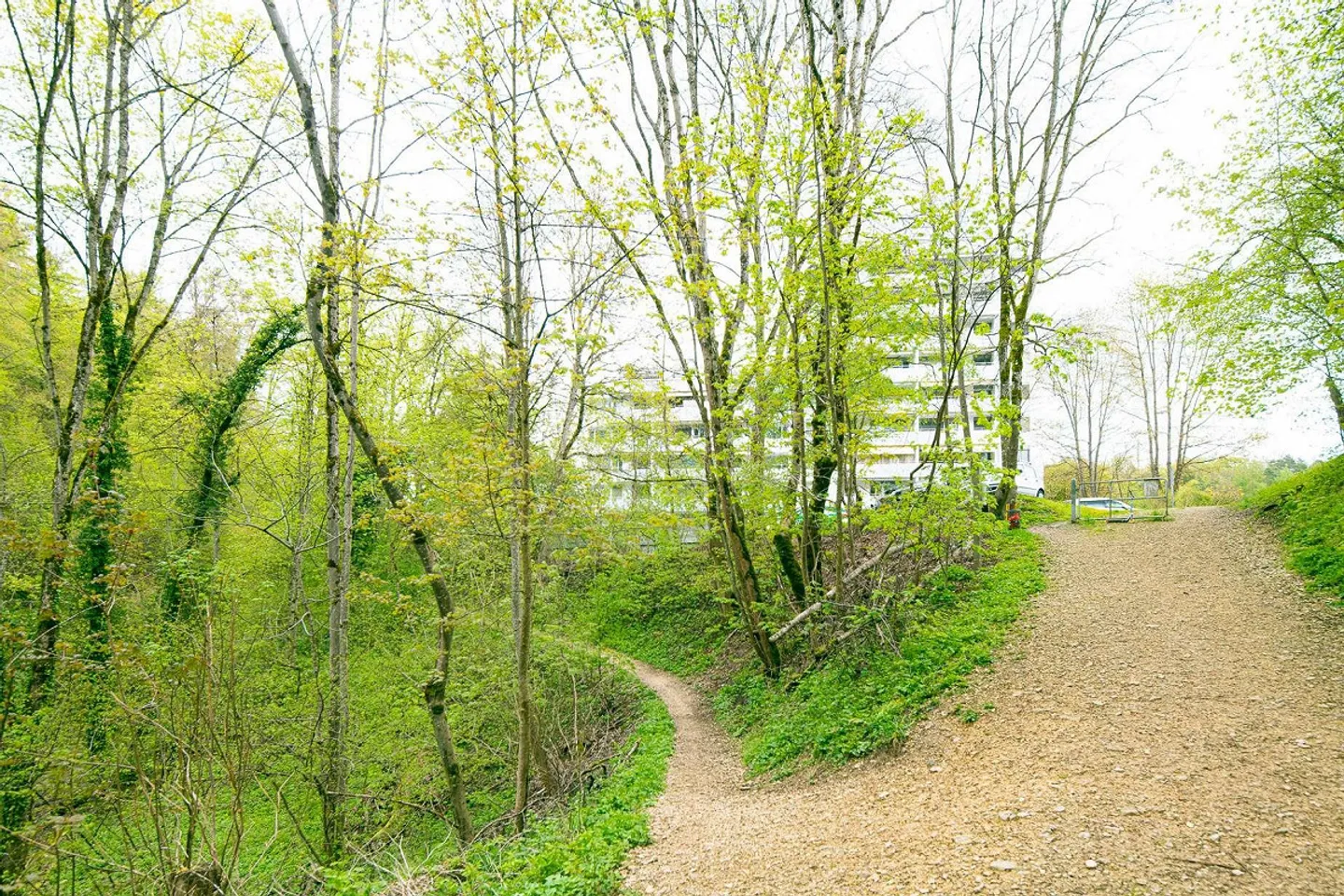 Light-flooded 4.5-room apartment in the popular Breite district - Photo 11 of 12