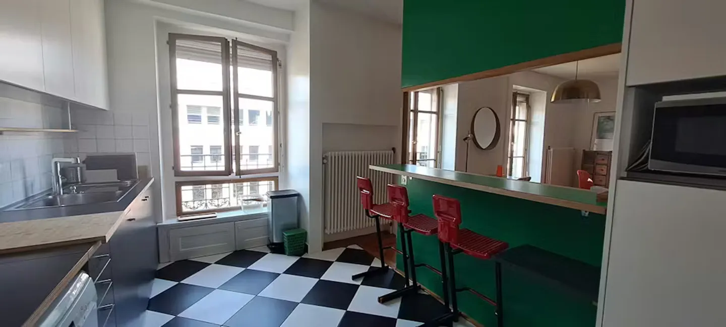 Charming Apartment in Geneva - Photo 7 of 9