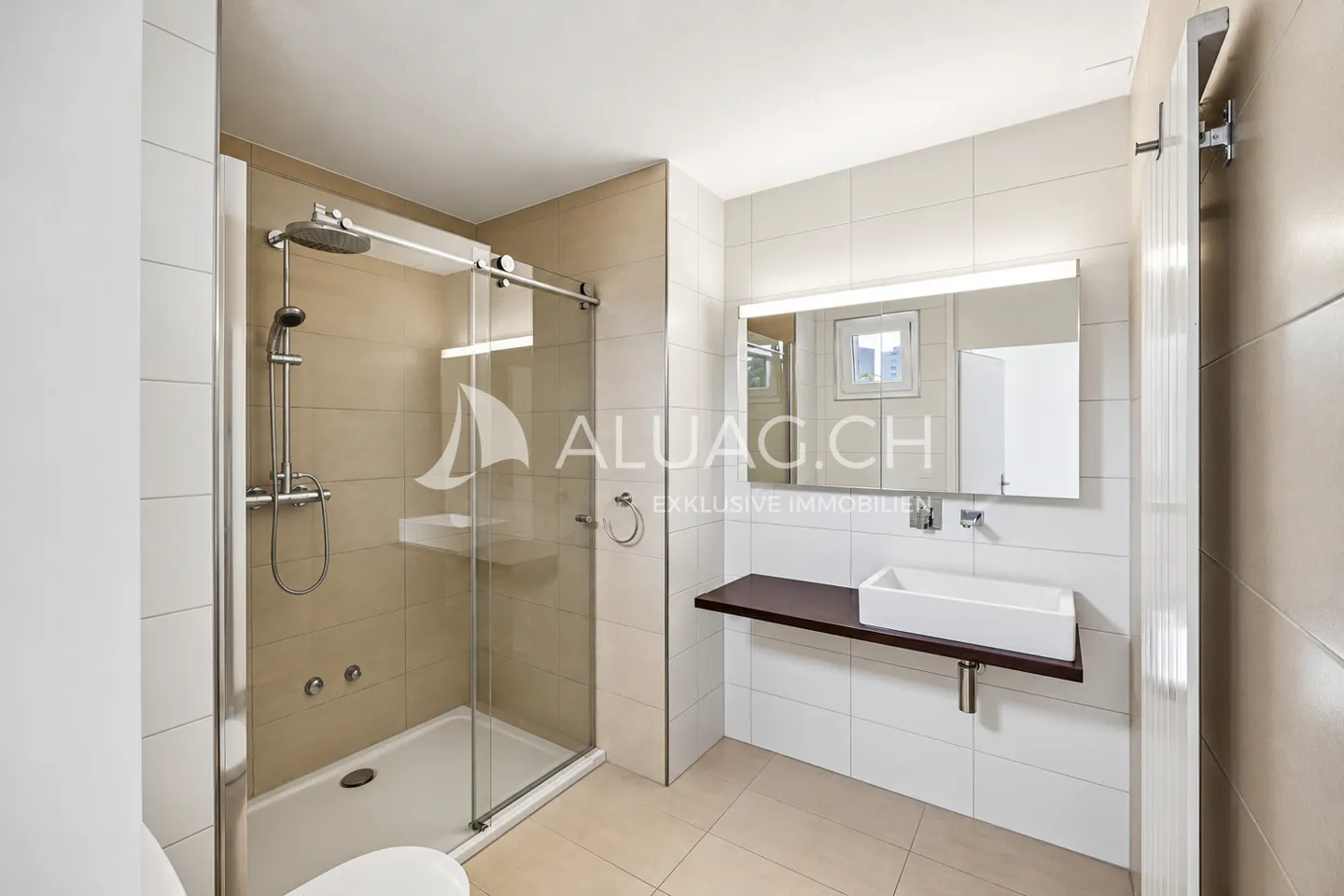 PENTHOUSE WITH LARGE TERRACE - Photo 11 of 14