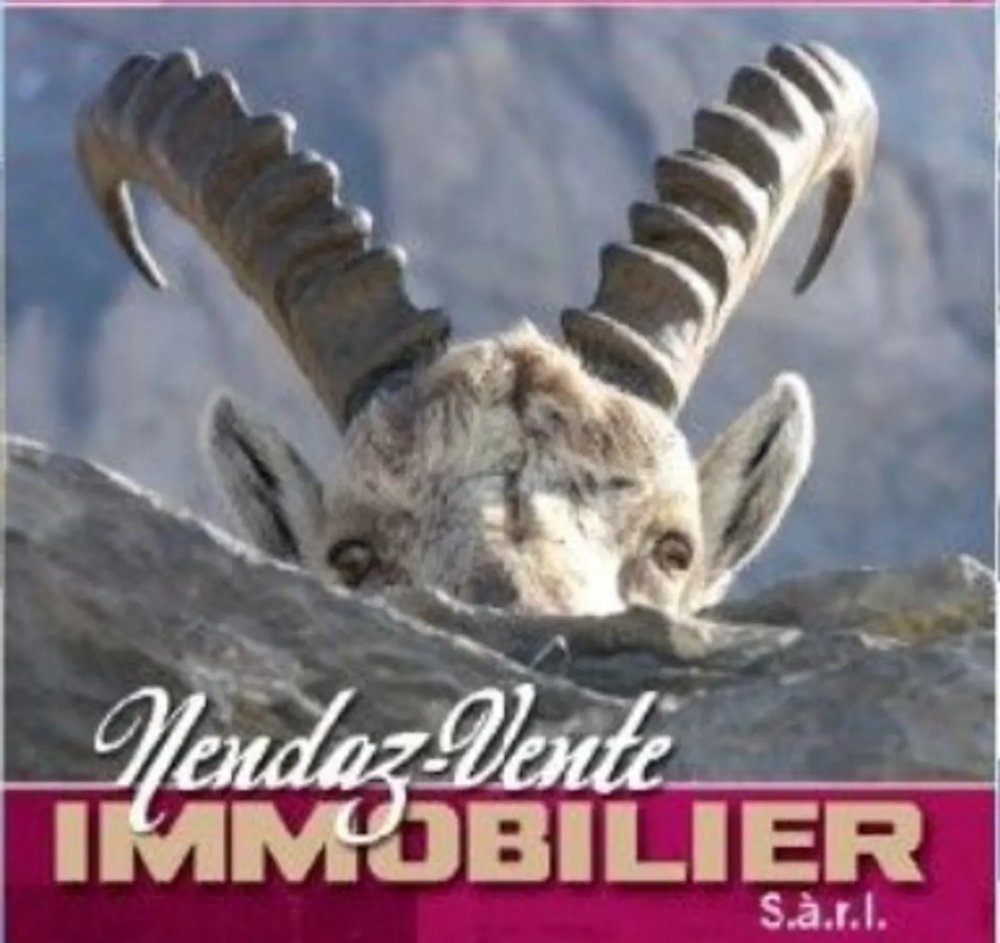 Gewerbefläche mit Sauna - Foto 1 von 2