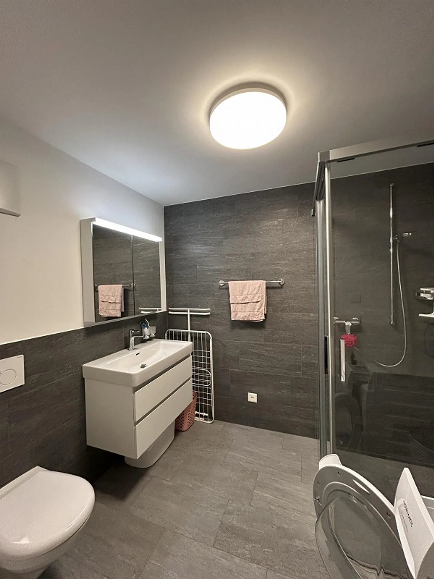 Appartements modernes de 1,5 pièces dans la Bündner Herrschaft - Photo 4 sur 9