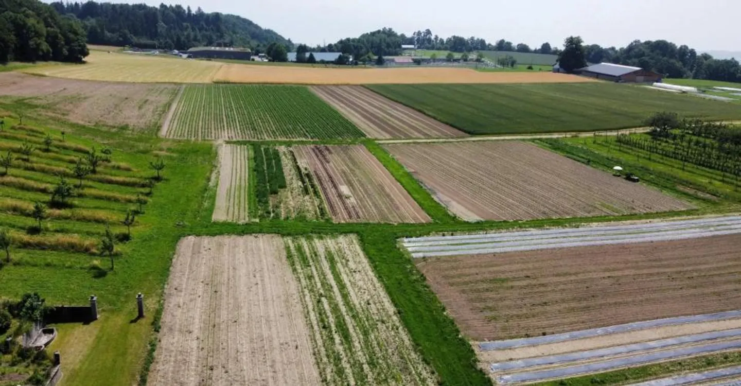 Oggetto di investimento a Le Mont-sur-Lausanne - Foto 4 di 13