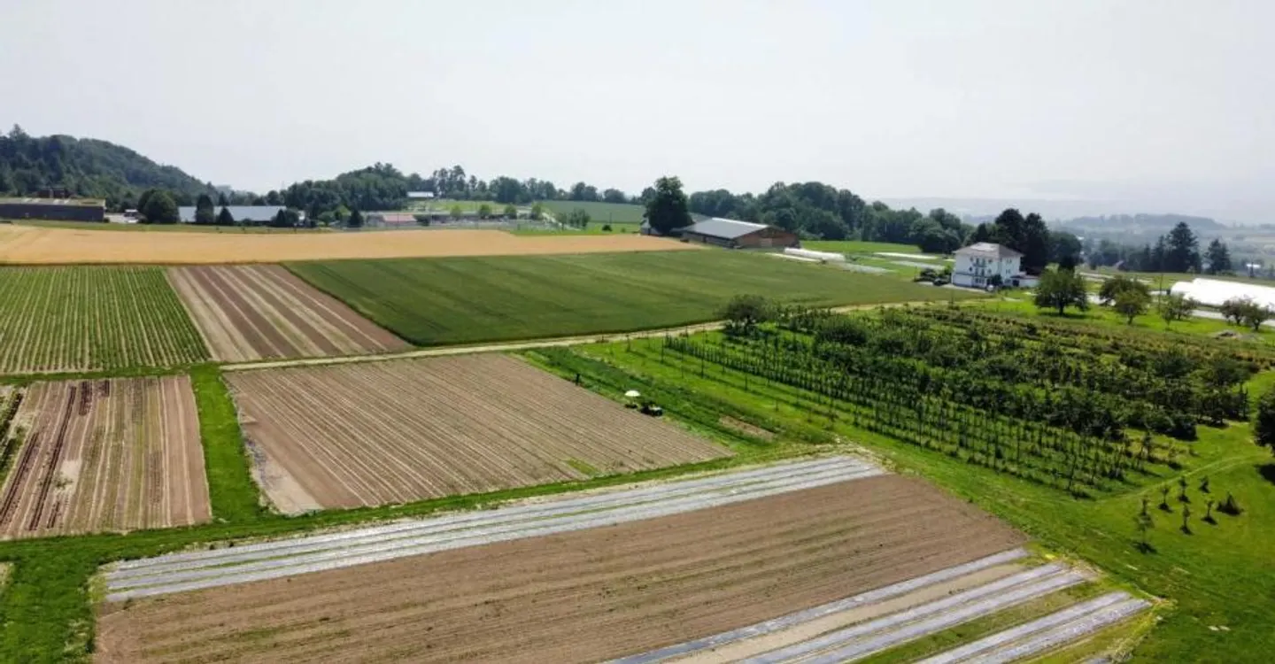 Oggetto di investimento a Le Mont-sur-Lausanne - Foto 6 di 13