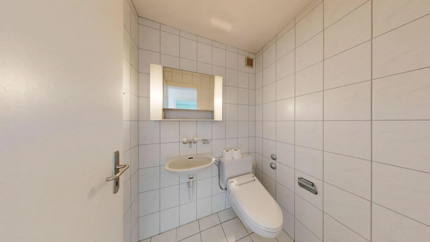 Attractive 4.5 Room Attic Apartment with a View - Photo 10 of 15
