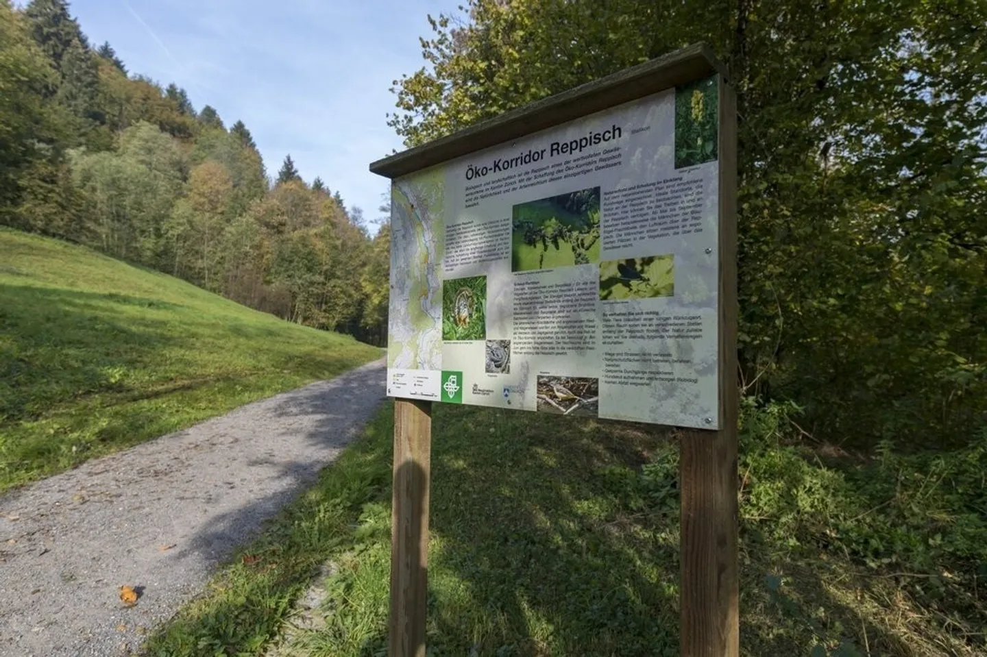 Beautiful Living - Photo 7 of 8