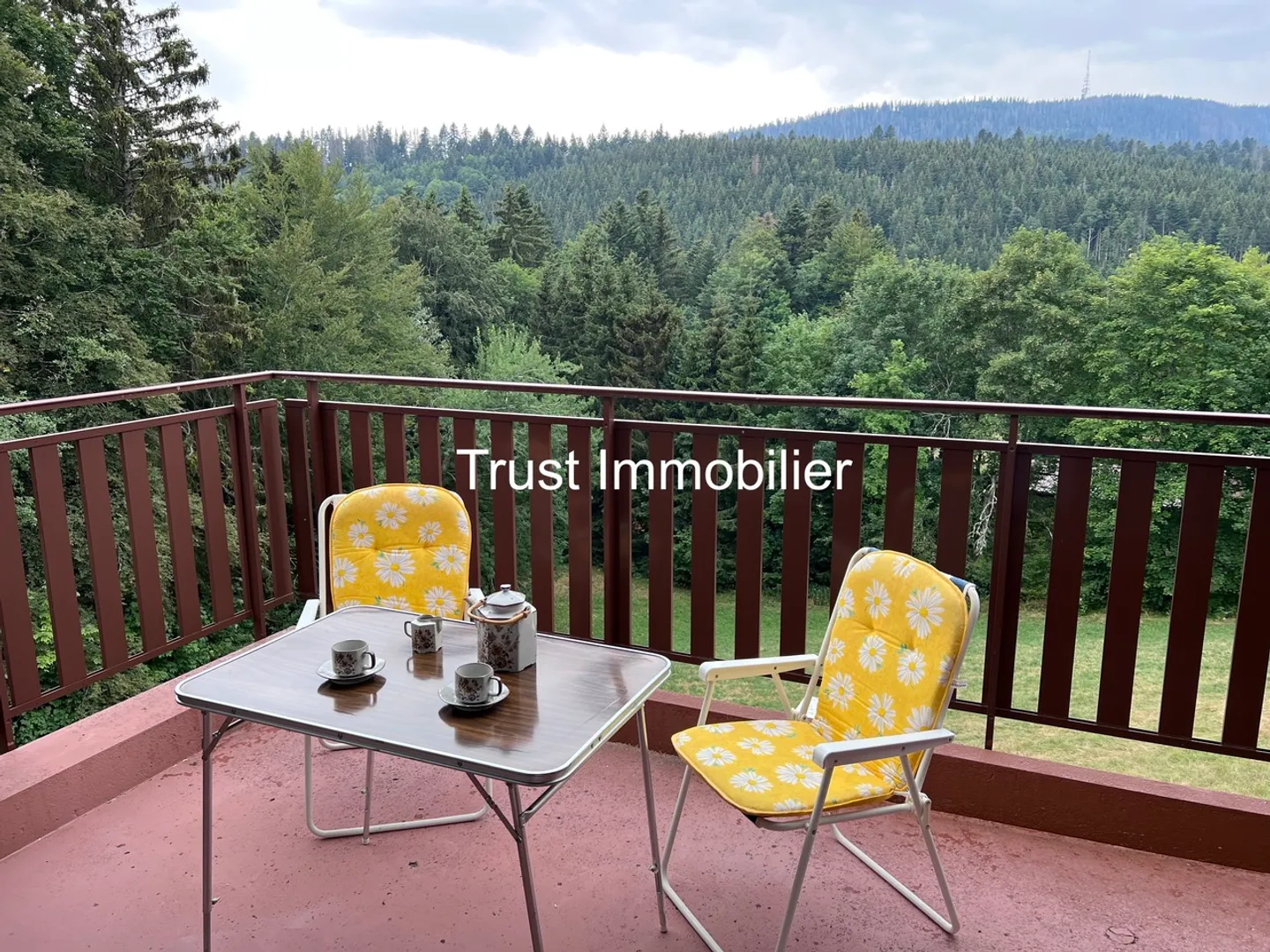 Studio Charmant avec Vue sur la Forêt - Photo 1 sur 17