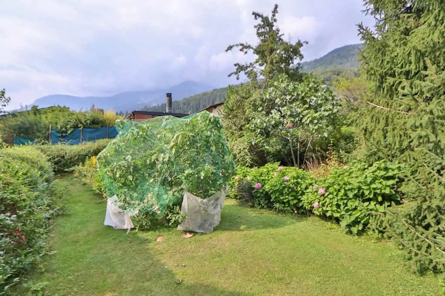 Duplex Incantevole a Faido - Foto 23 di 24