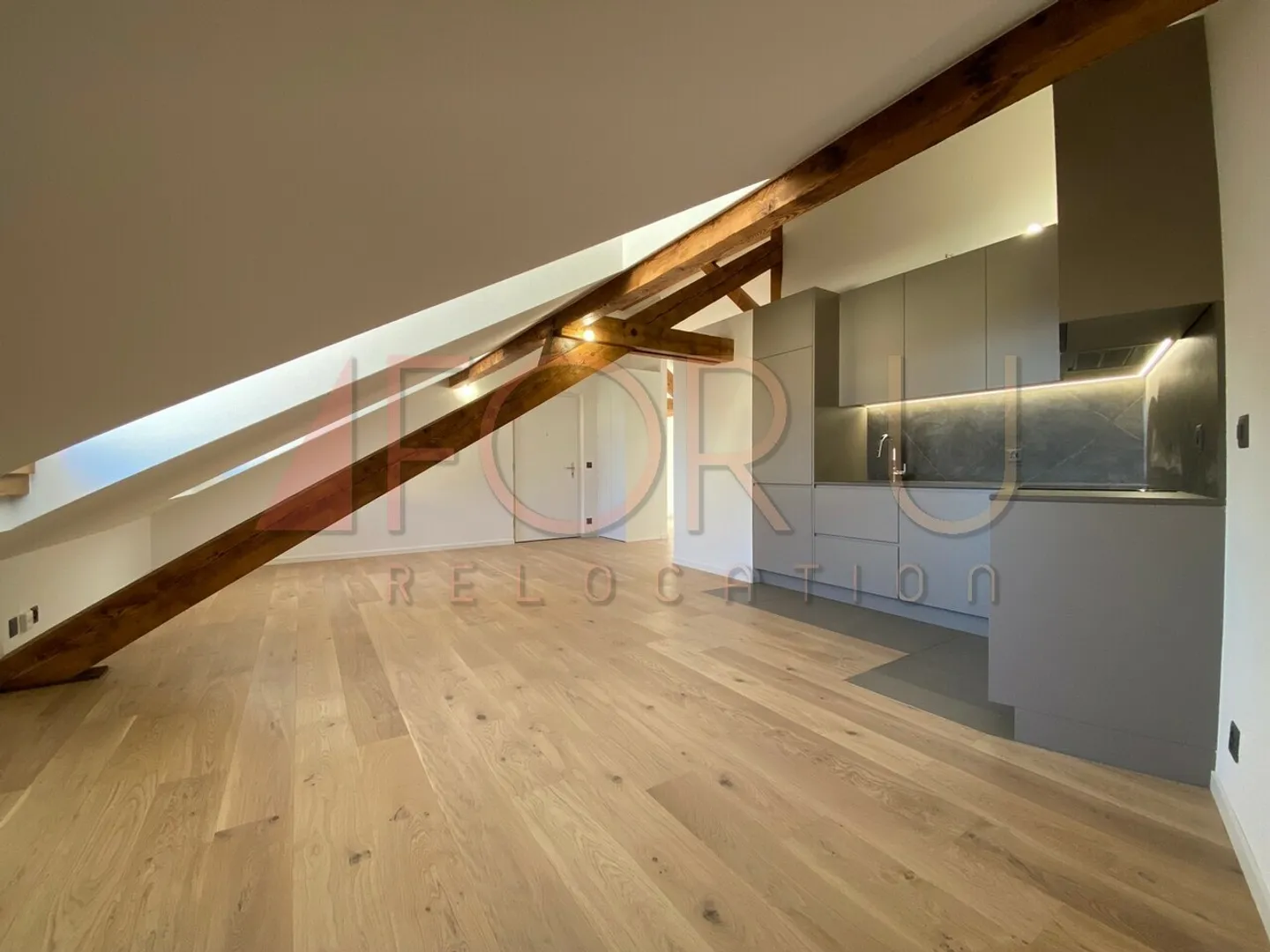 Superbe Appartement Attique à Genève - Photo 3 sur 8