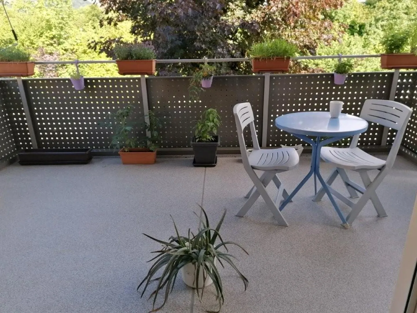 Ruhiges Wohnquartier & Stadtnah gelegen - Foto 2 von 9