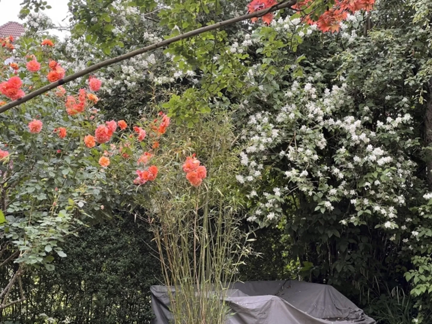 «APPARTEMENT 3½ PIÈCES À THUN (BE), MEUBLÉ, TEMPORAIRE» - Photo 7 sur 8