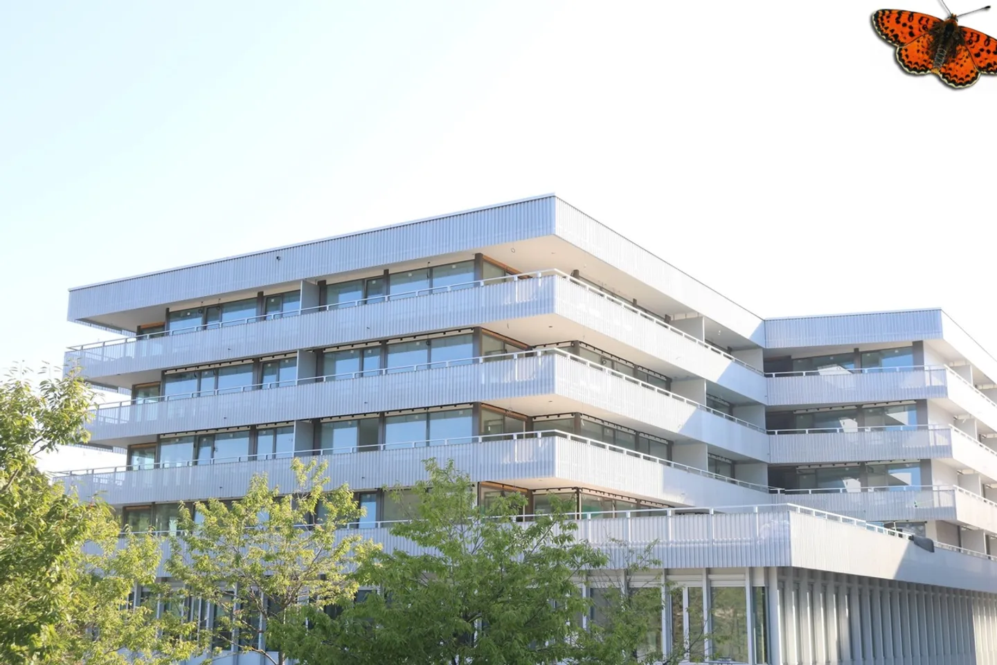 Apartment for rent - Photo 1 of 9