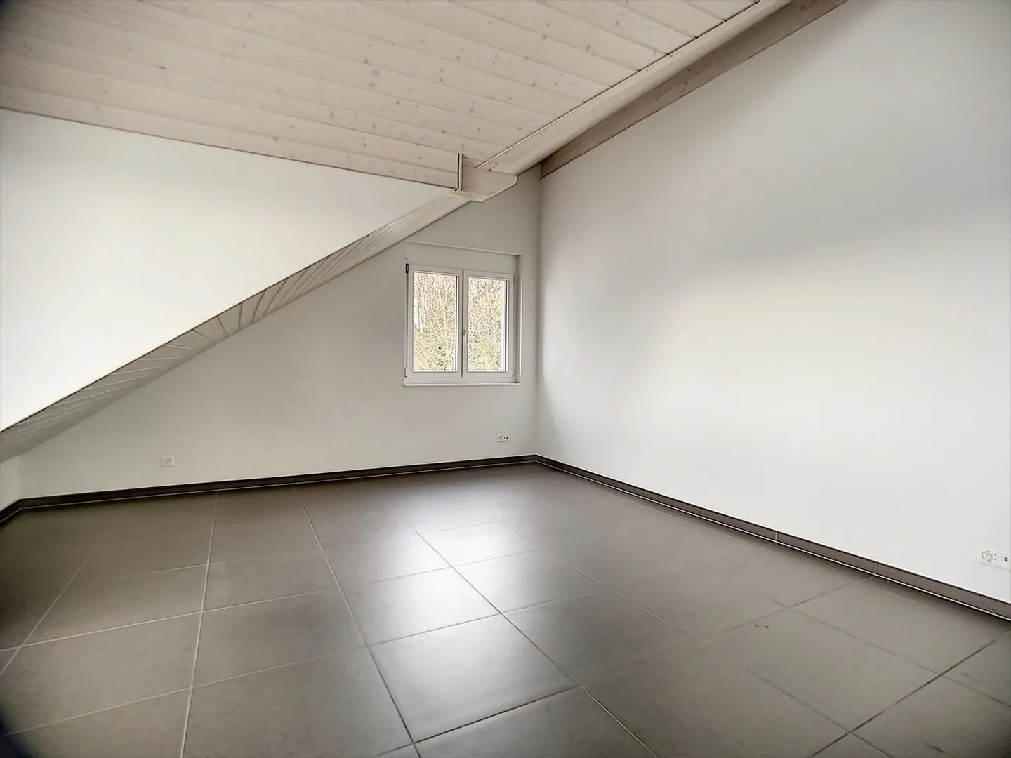 Appartamento 5.5 stanze - Foto 3 di 8