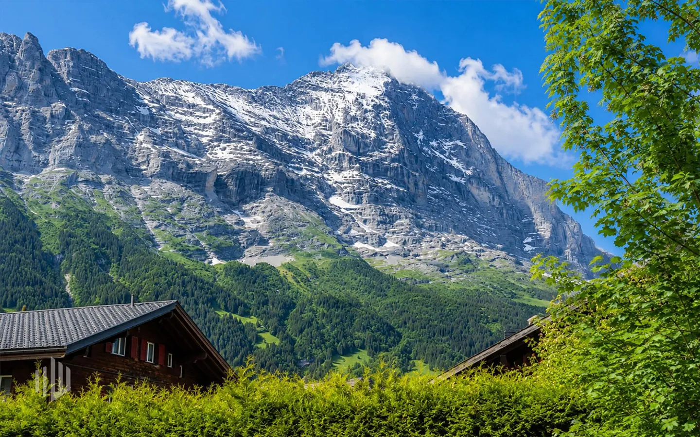 ImmoWyss - Appartement de vacances de 4,5 pièces avec vue sur l'Eiger - Photo 10 sur 11