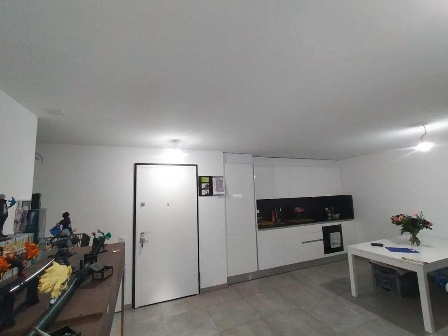 Appartamento 2 1/2 in posizione tranquilla e soleggiata con bella vista - Foto 2 di 12