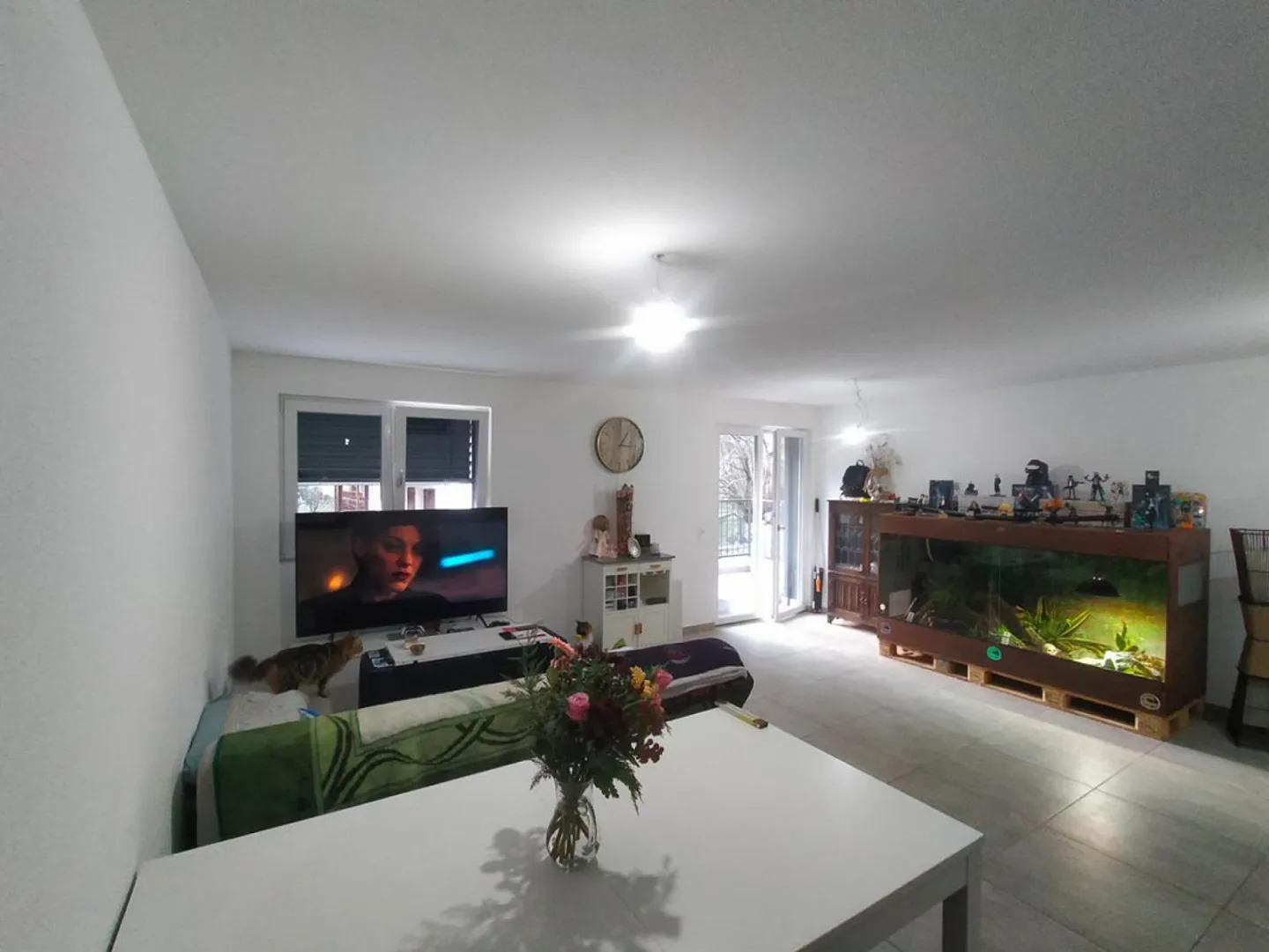 Appartamento 2 1/2 in posizione tranquilla e soleggiata con bella vista - Foto 3 di 12