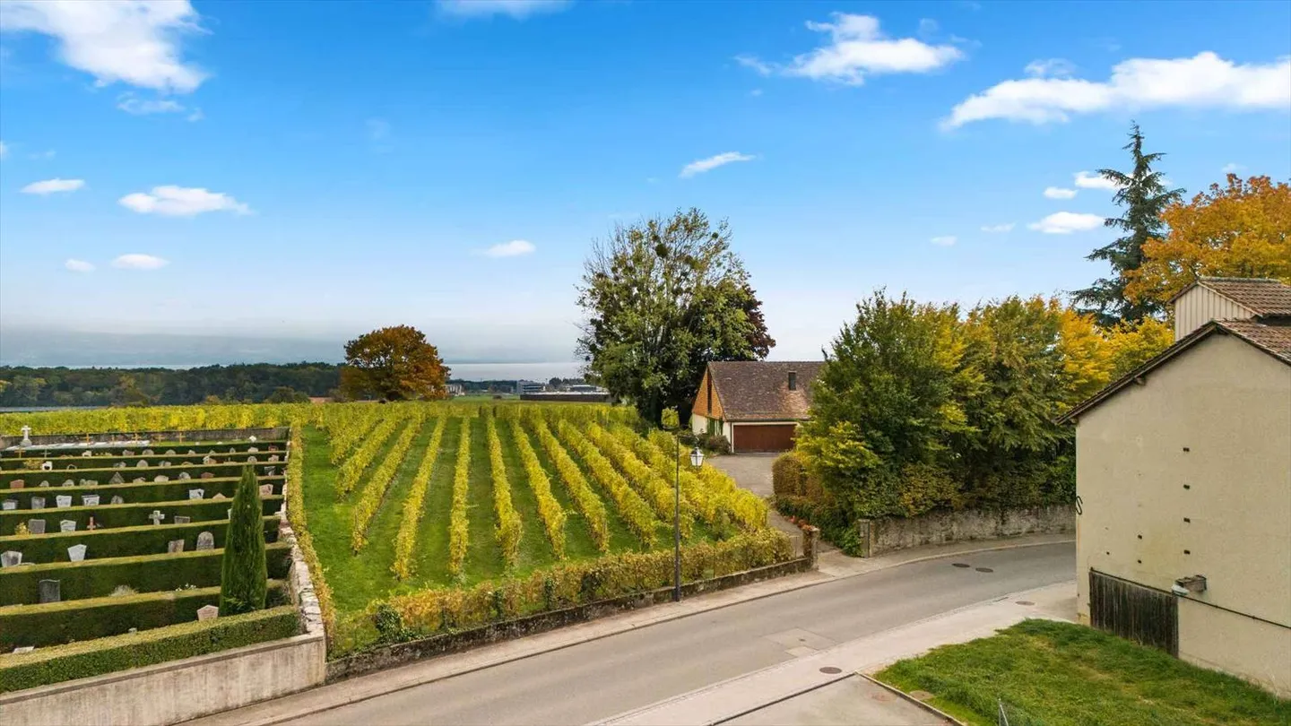 Ampio appartamento di 4,5 stanze con vista libera - Foto 11 di 11