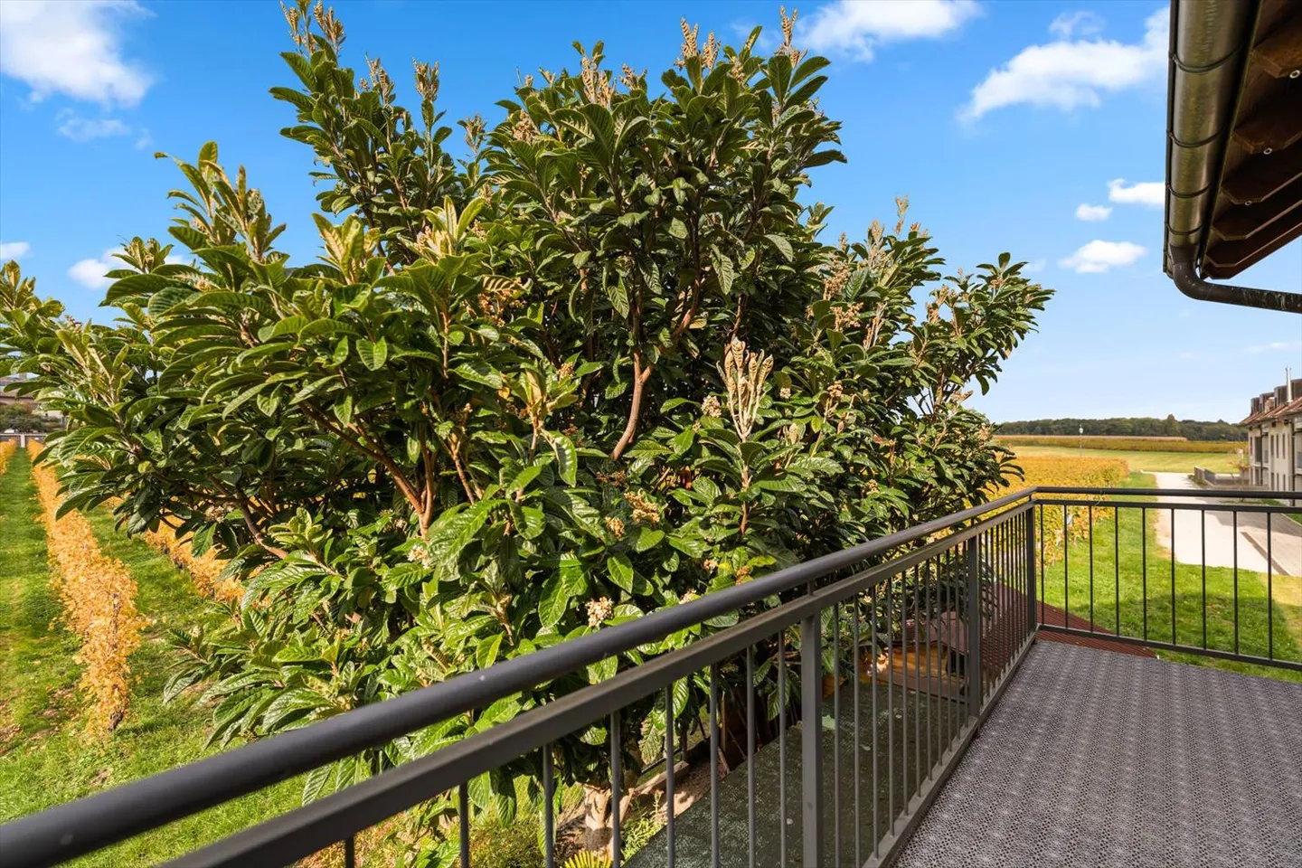 Ampio appartamento di 4,5 stanze con vista libera - Foto 5 di 11