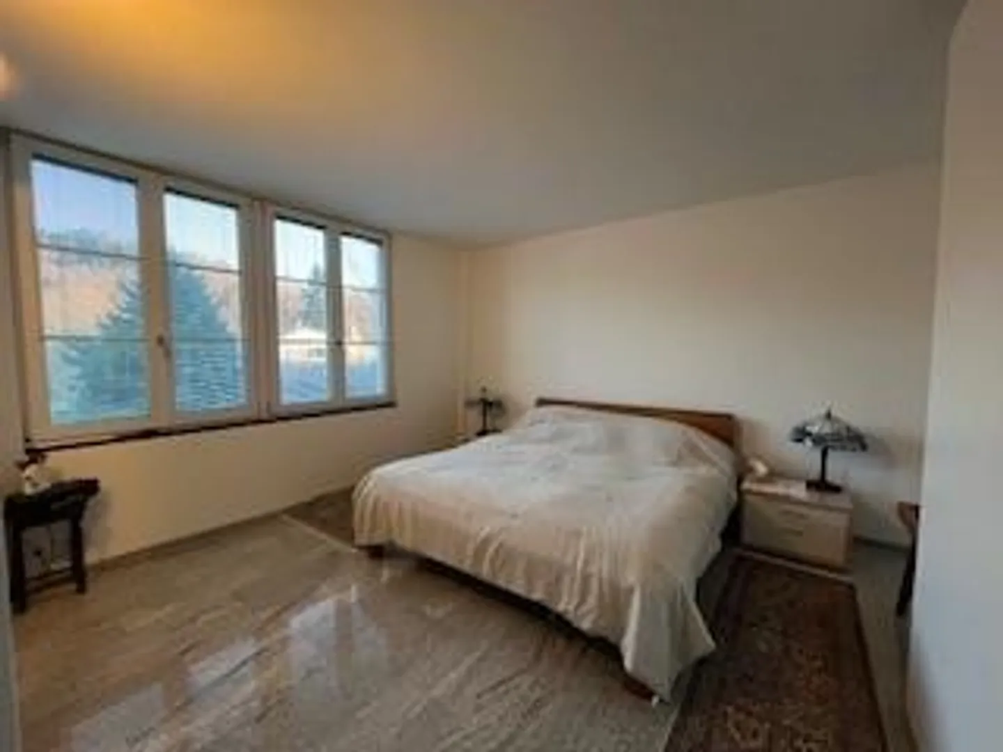 Subtenant for 4.5-room apartment in a quiet location at the foot of Uetliberg - Photo 5 of 13