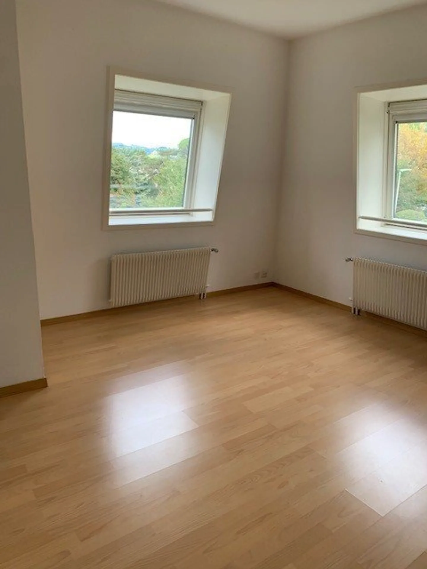 Studio on the 5th floor - Photo 3 of 4