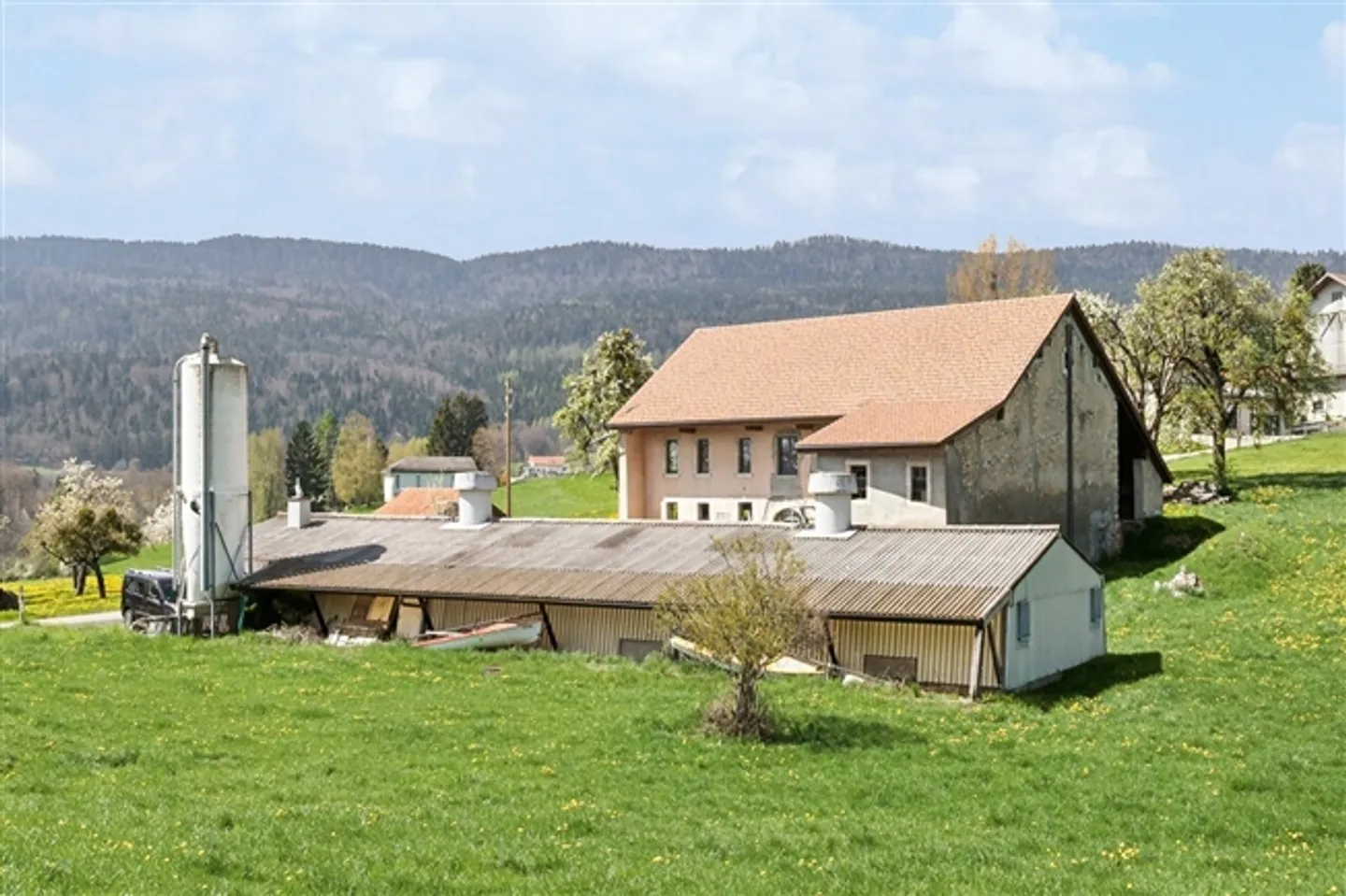 «Renovieren Großes Volumen und großes Potenzial» - Foto 4 von 19