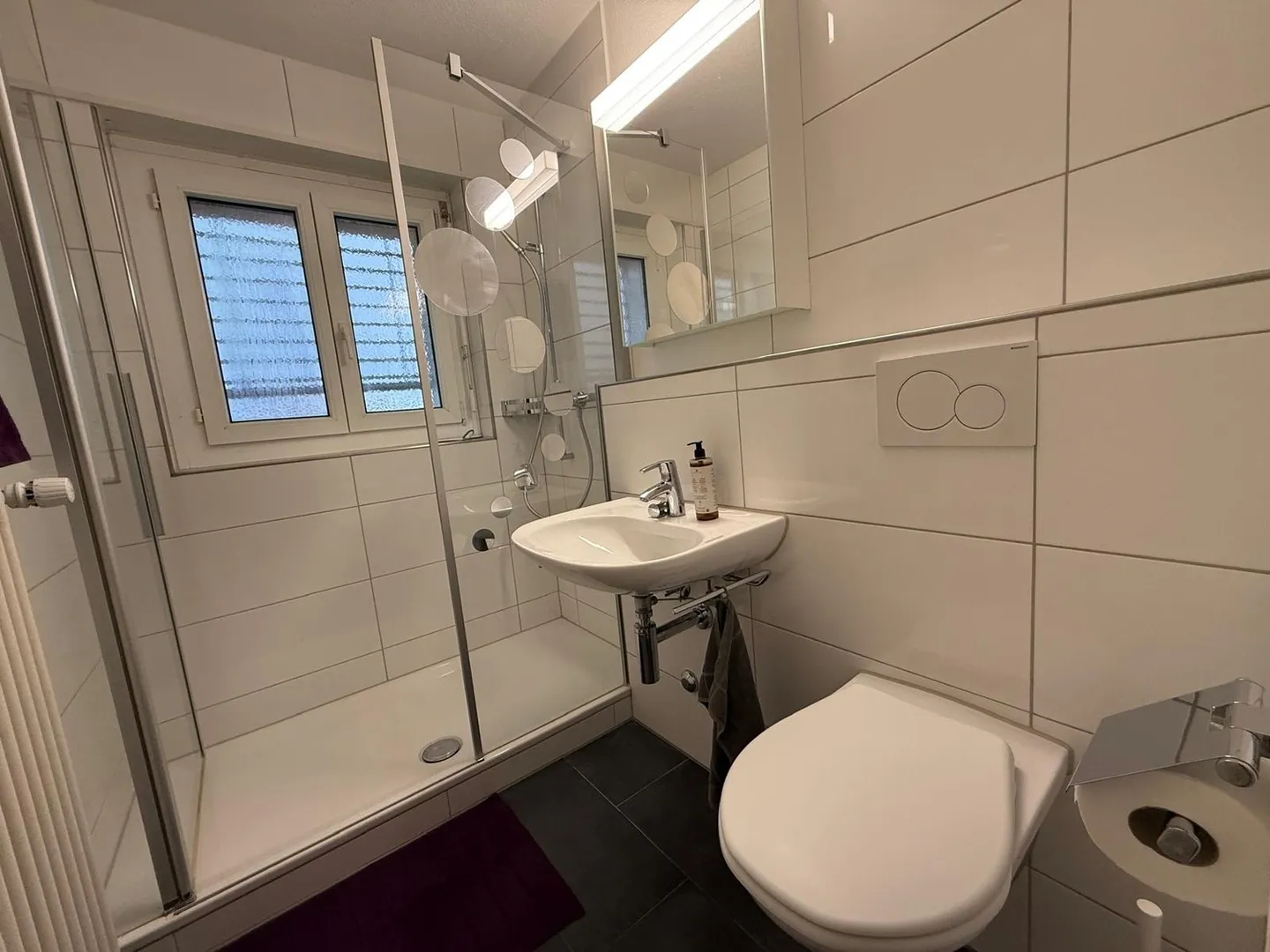 Appartement 2.5 pièces entièrement meublé – Dübendorf (Zone 121) - Photo 12 sur 13