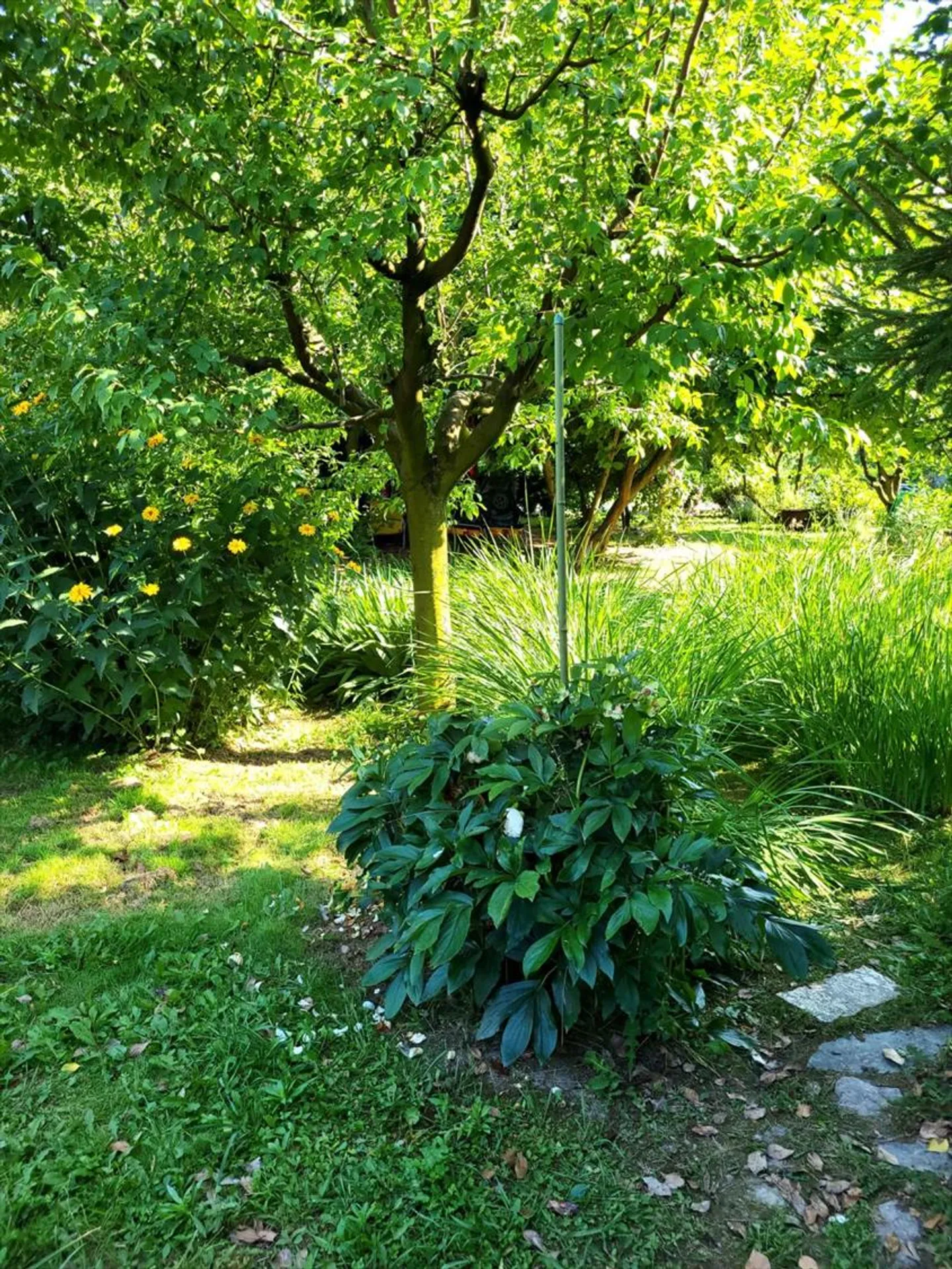 Piccolo angolo di paradiso - Foto 1 di 5