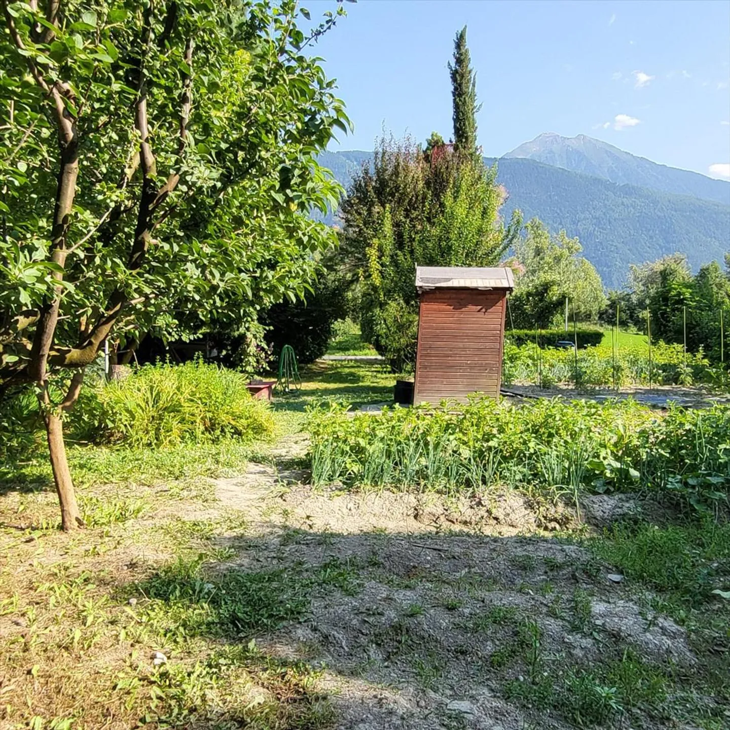 Piccolo angolo di paradiso - Foto 2 di 5