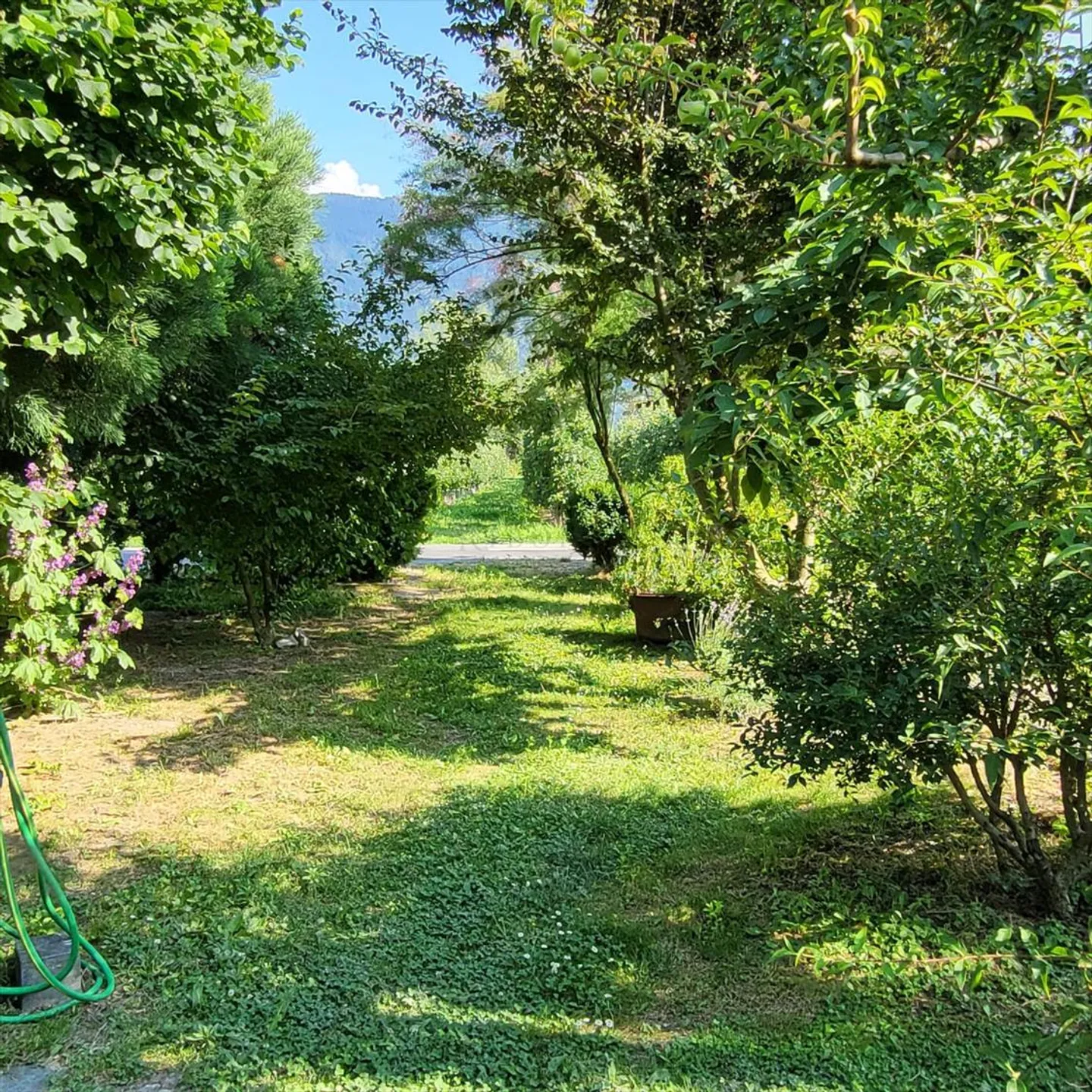 Piccolo angolo di paradiso - Foto 3 di 5