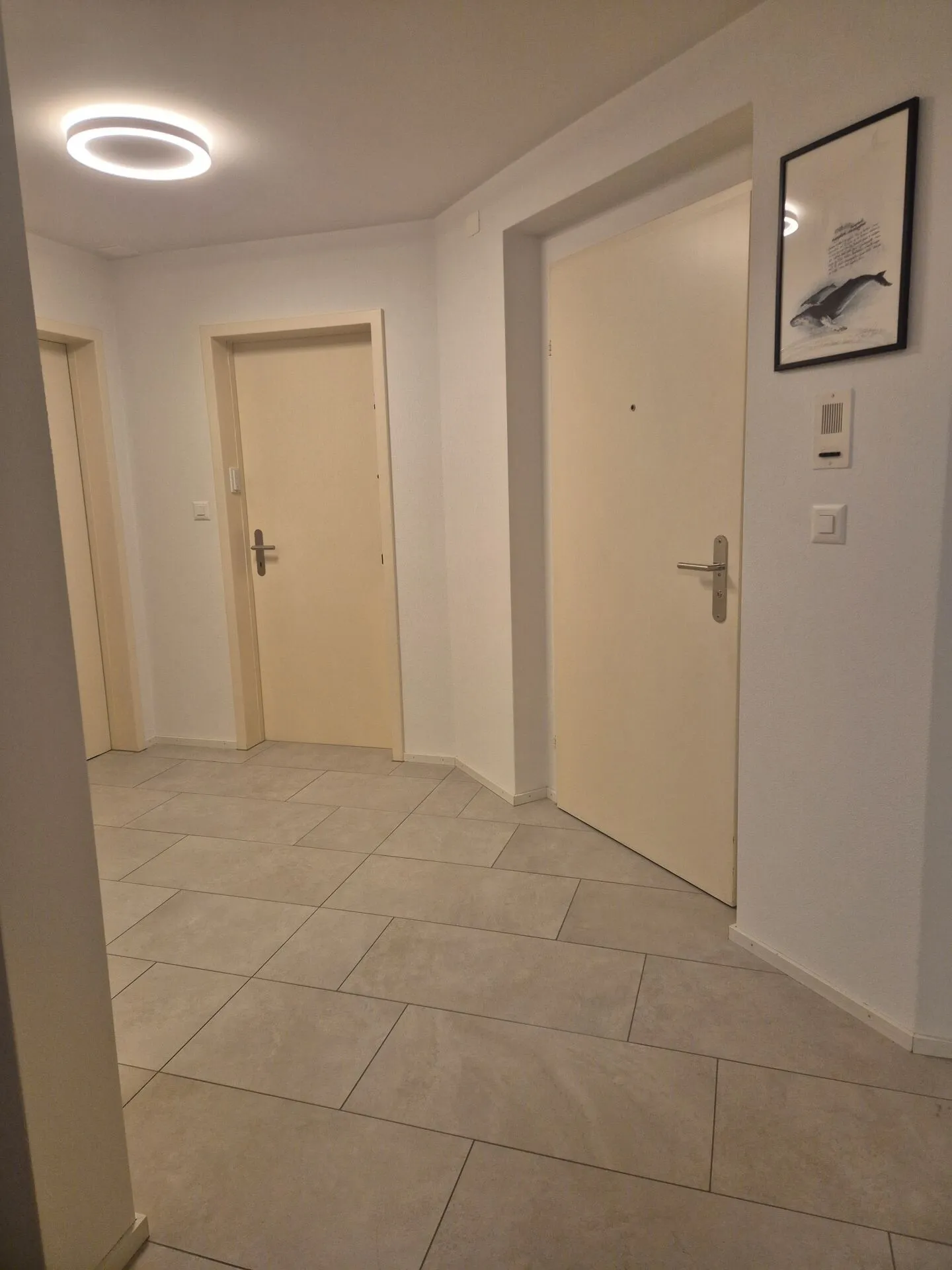 Beautiful Apartment - Photo 3 of 7